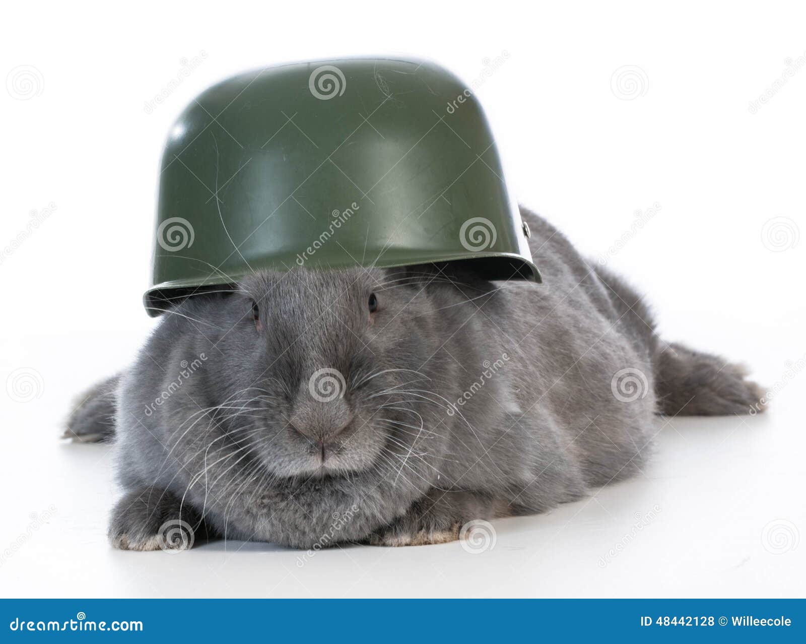 Кролик с оружием