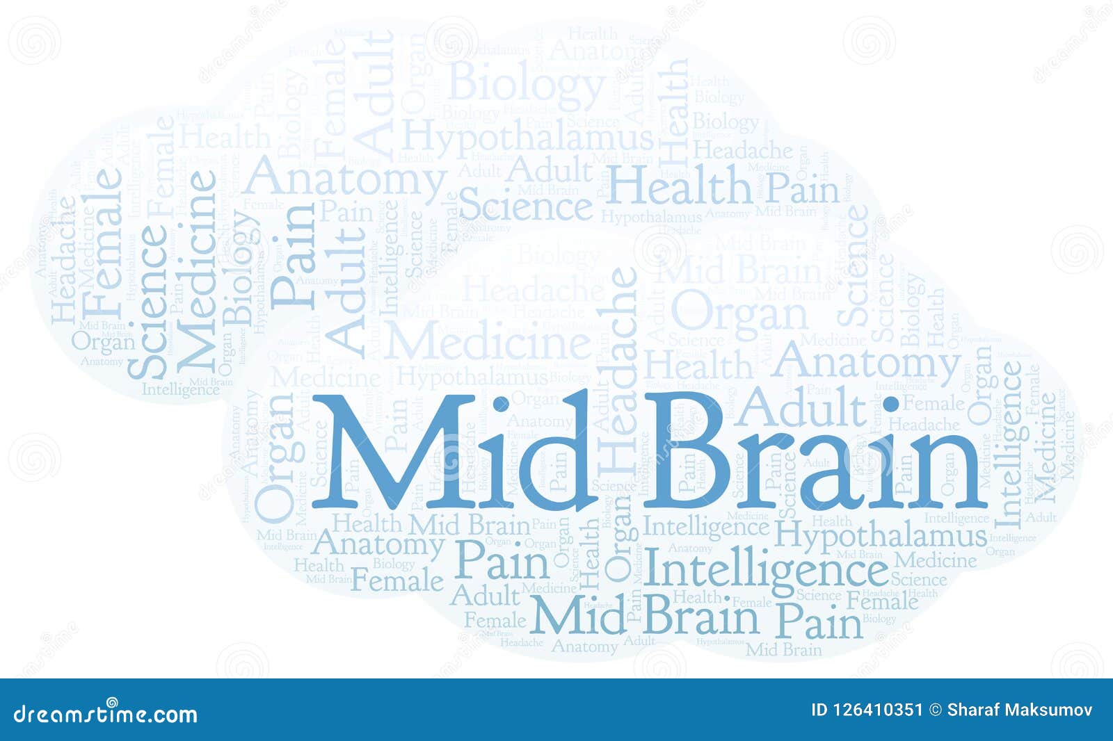 Слова со словом мозг. Предложение со словом Brain. Brain цщкл.