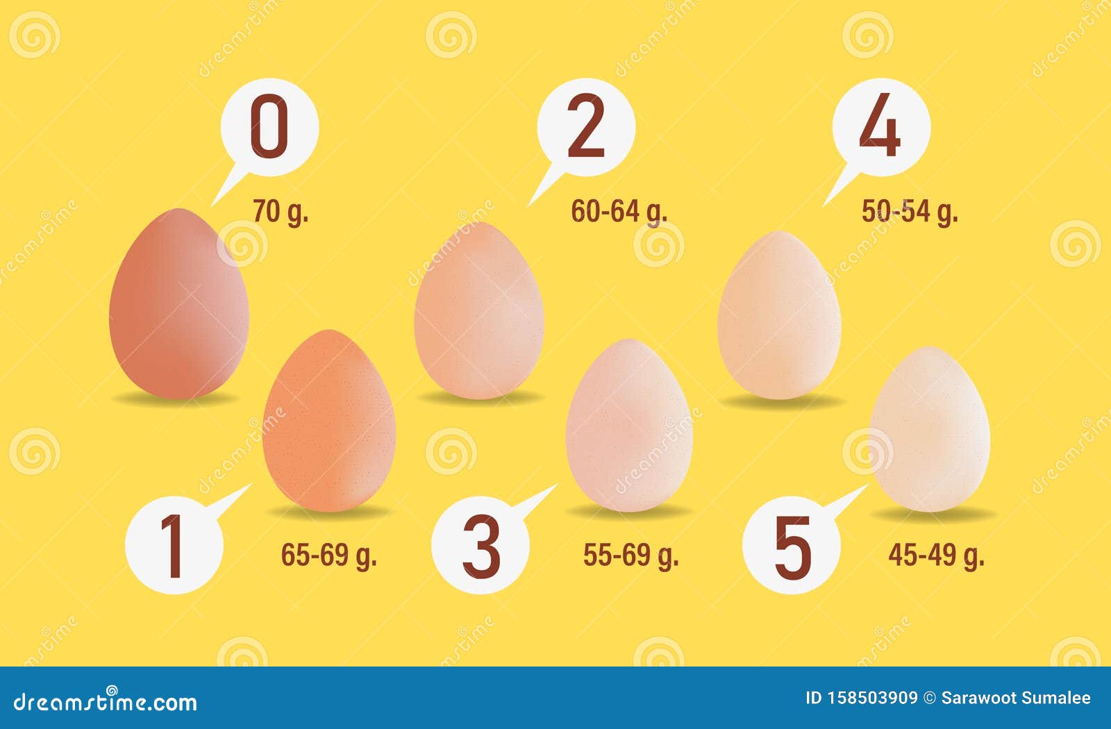 Яйцо курицы вес. Размер куриного яйца с1. Диаметр куриного яйца с1. Размер яйца курицы. Яйцо Размеры стандарт.