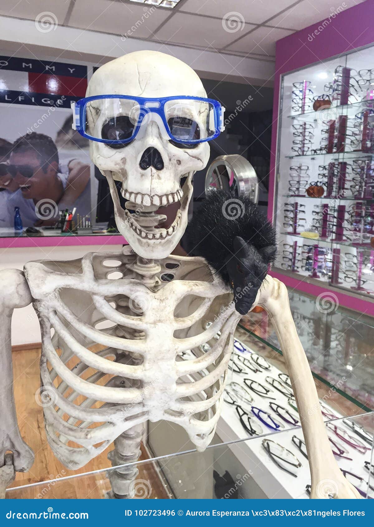 Зачем скелет. Стеклянный скелет. Скелет в магазине. Скелет из магазина. Одетый скелет.