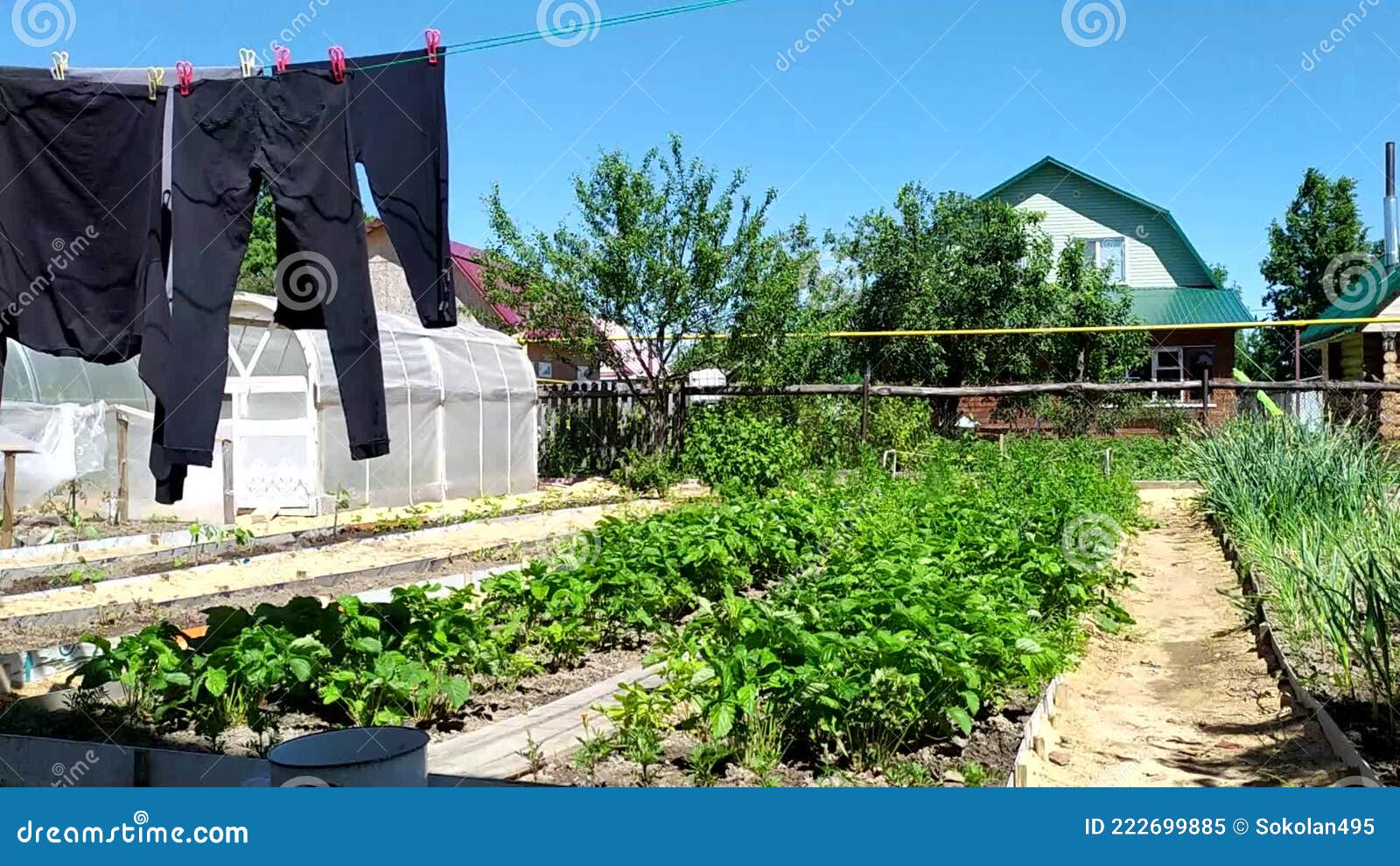стирка и сушка одежды в саду. одежда на белье. влажное чистое белье сушитсяна веревке в огороде на сток-видео - Видео насчитывающей свеже, ткань:222699885