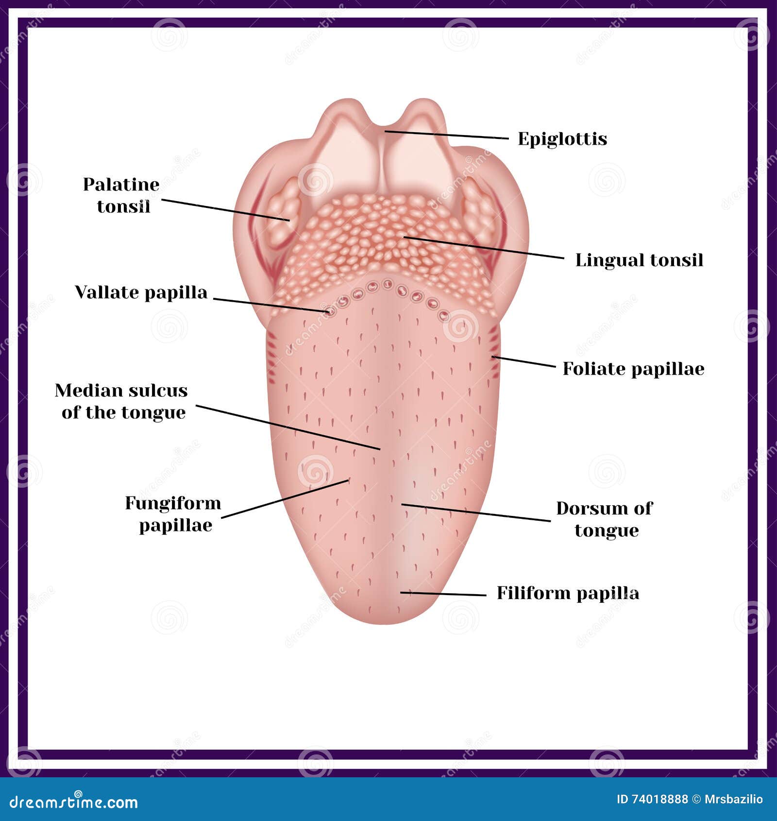 Foot tongue