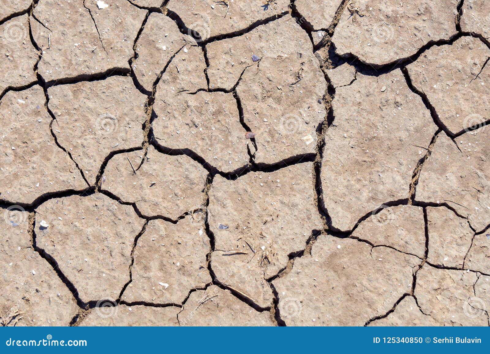 Сухие и горячие лета, треснутая почва с некоторое малым, зеленые растения  Стоковое Фото - изображение насчитывающей повреждение, земля: 125340850