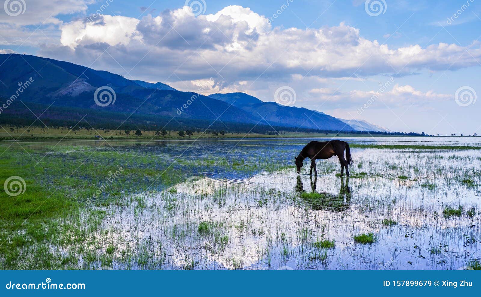 Виды Сибири Фото