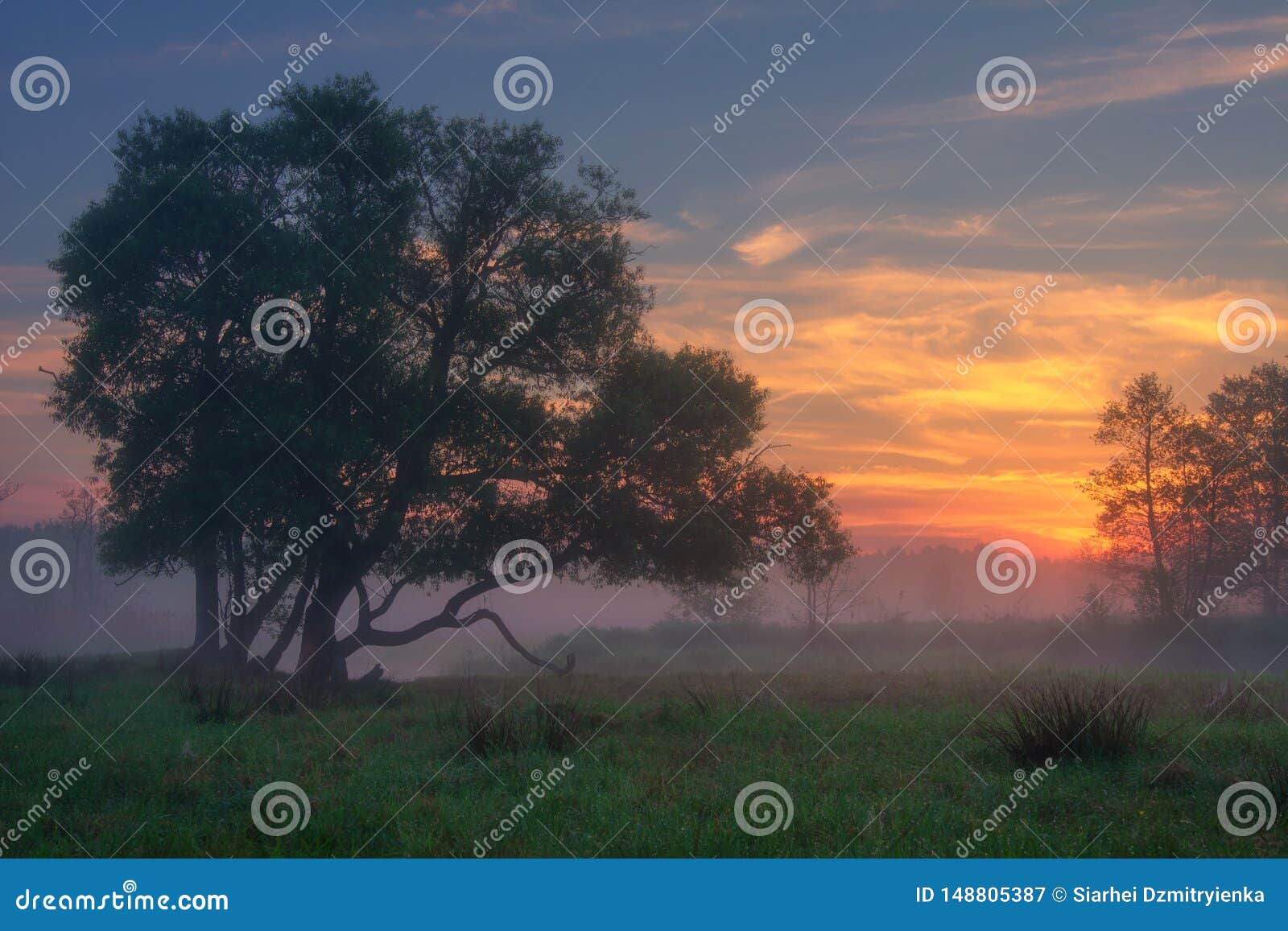 Фото Рассвета На Природе