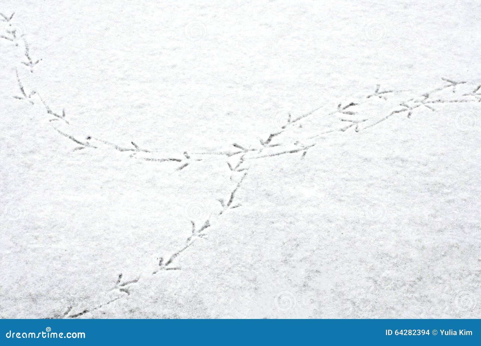 На снегу видны птичьи следы