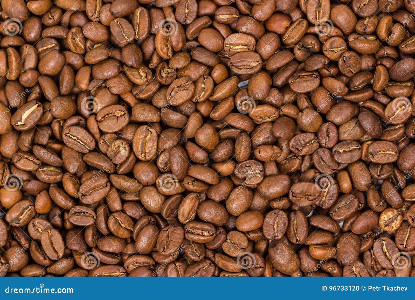 текстура близкого кофе горизонтальная вверх кофейные зерна как обои  предпосылки фасоль Cofee Arabica Стоковое Фото - изображение насчитывающей  флейвор, естественно: 96733120