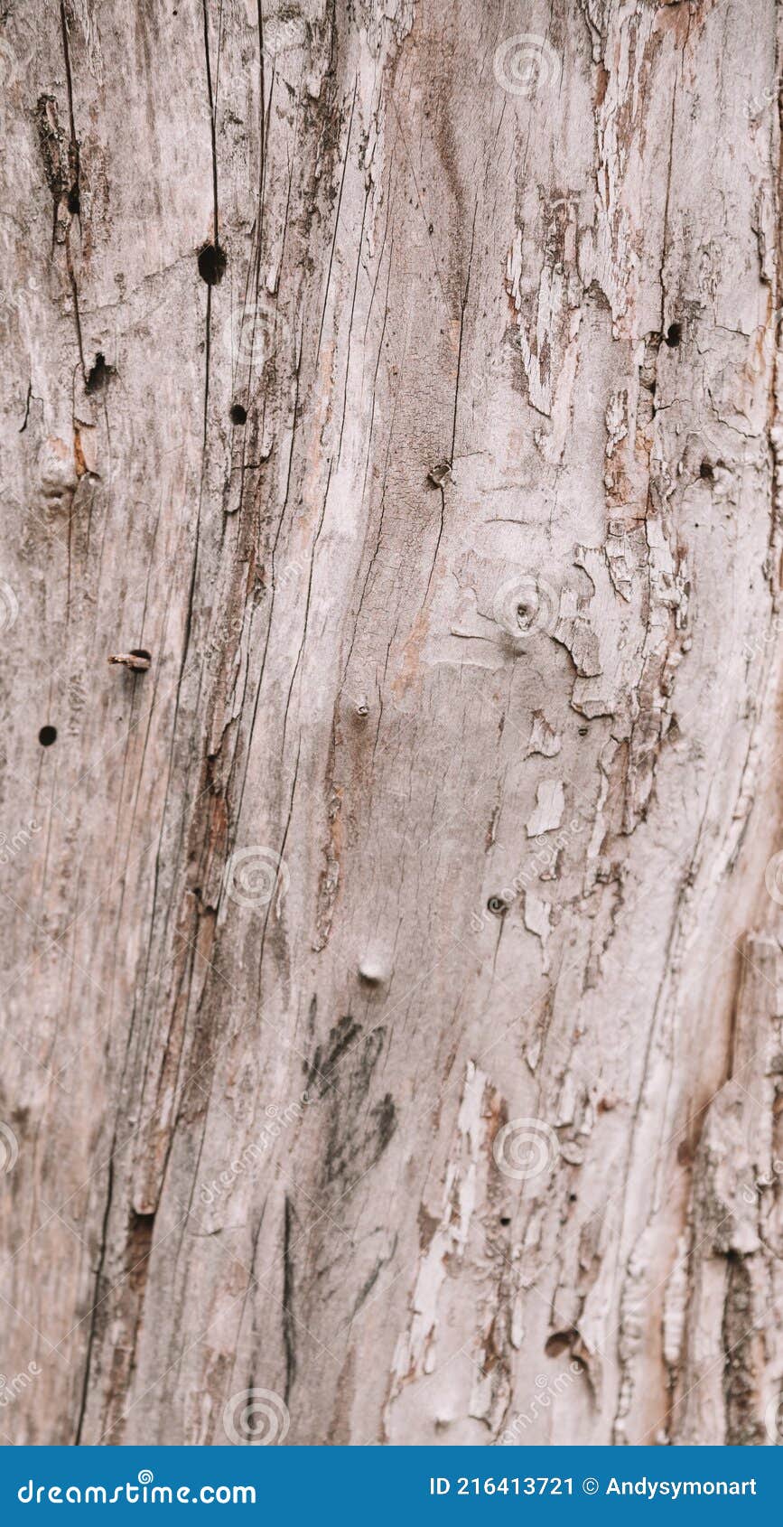 текстура дерева фон длинная грубая доска сарая с природным узором старый коричневый щит Стоковое Изображение - изображение насчитывающей листья, города: 216413721