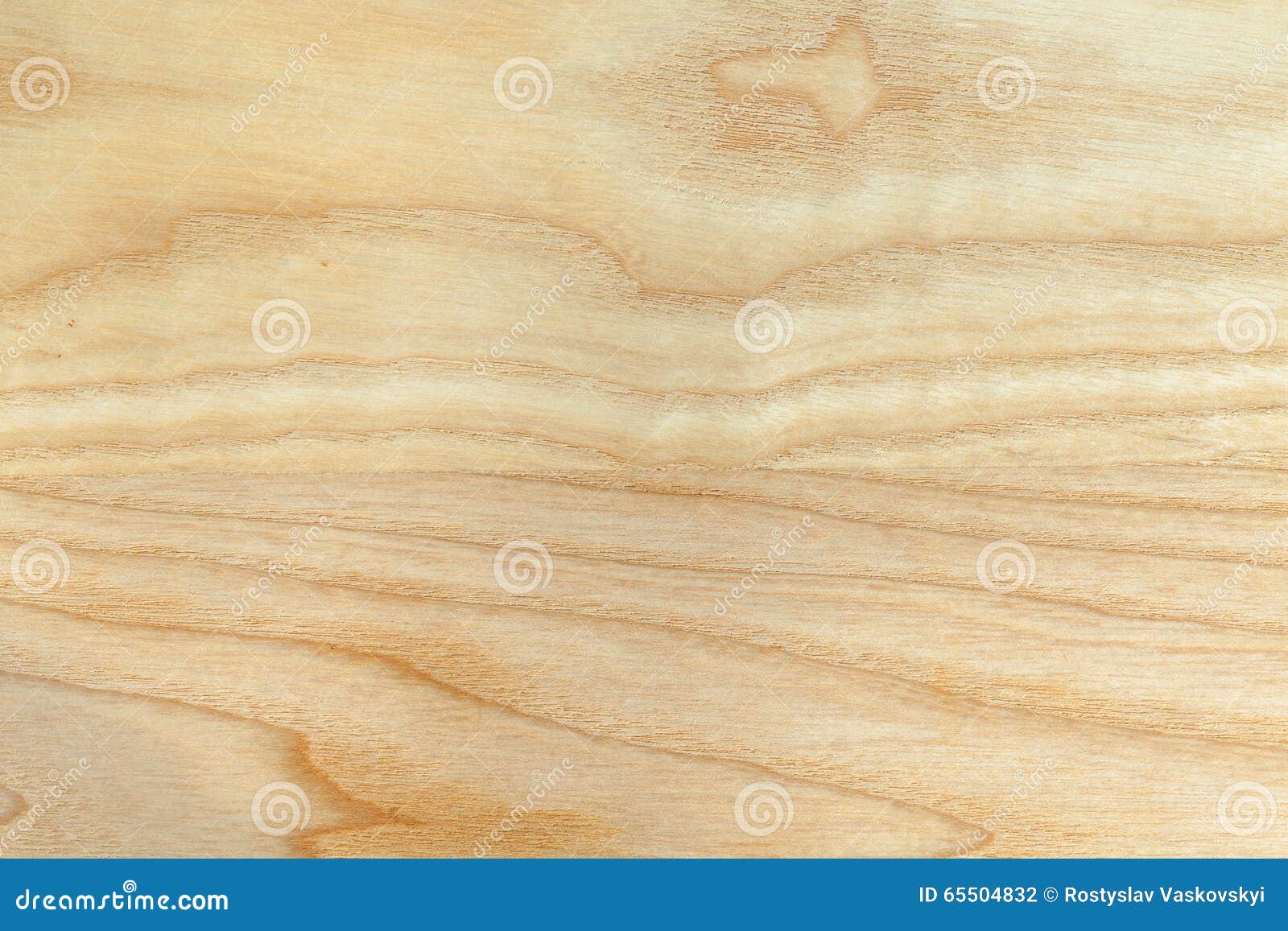 Текстура дерева бука стоковое фото. изображение насчитывающей от - 65504832