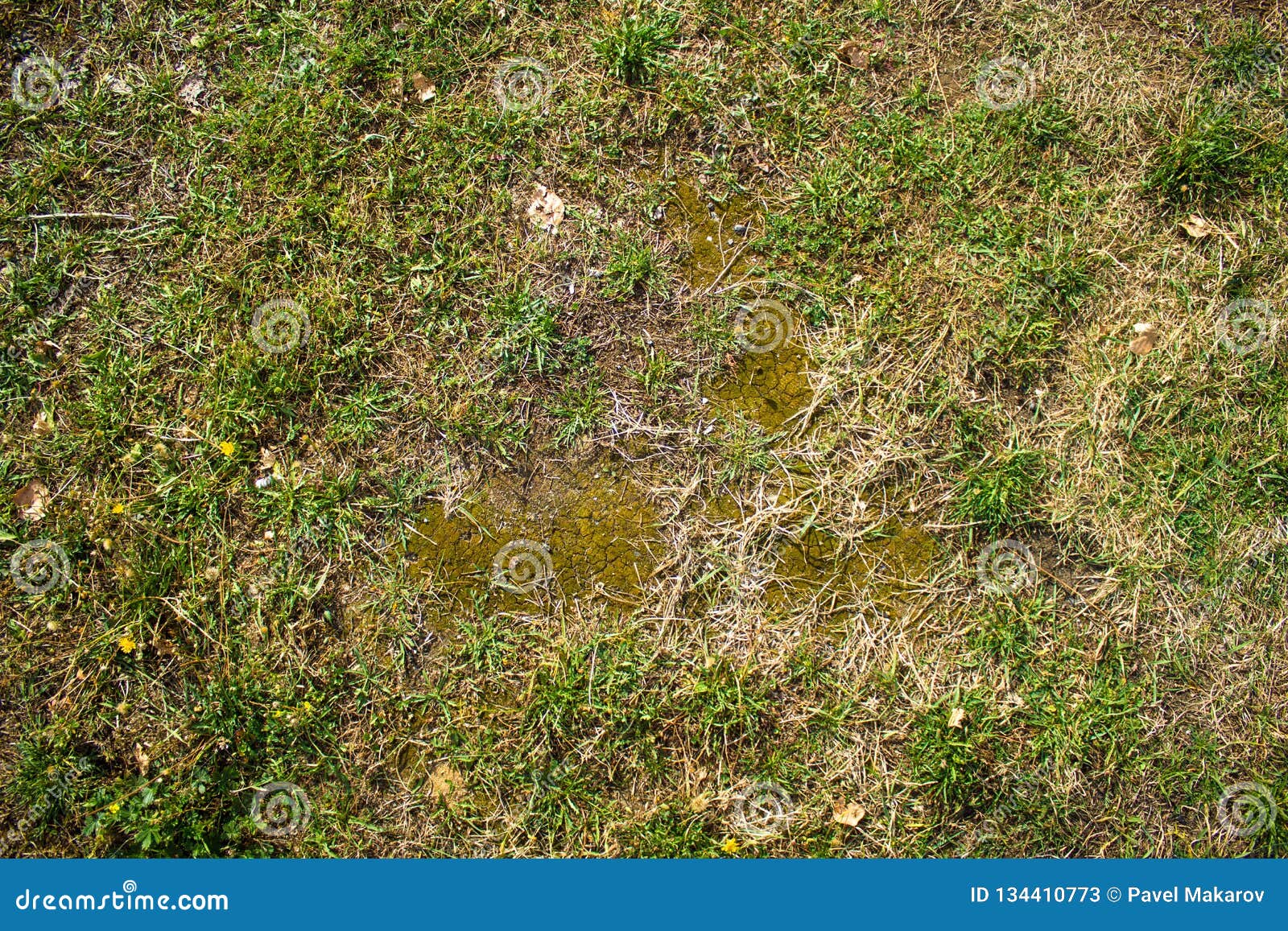 Текстура земли с травой, булыжниками, камнями Стоковое Изображение -  изображение насчитывающей мох, старо: 134410773