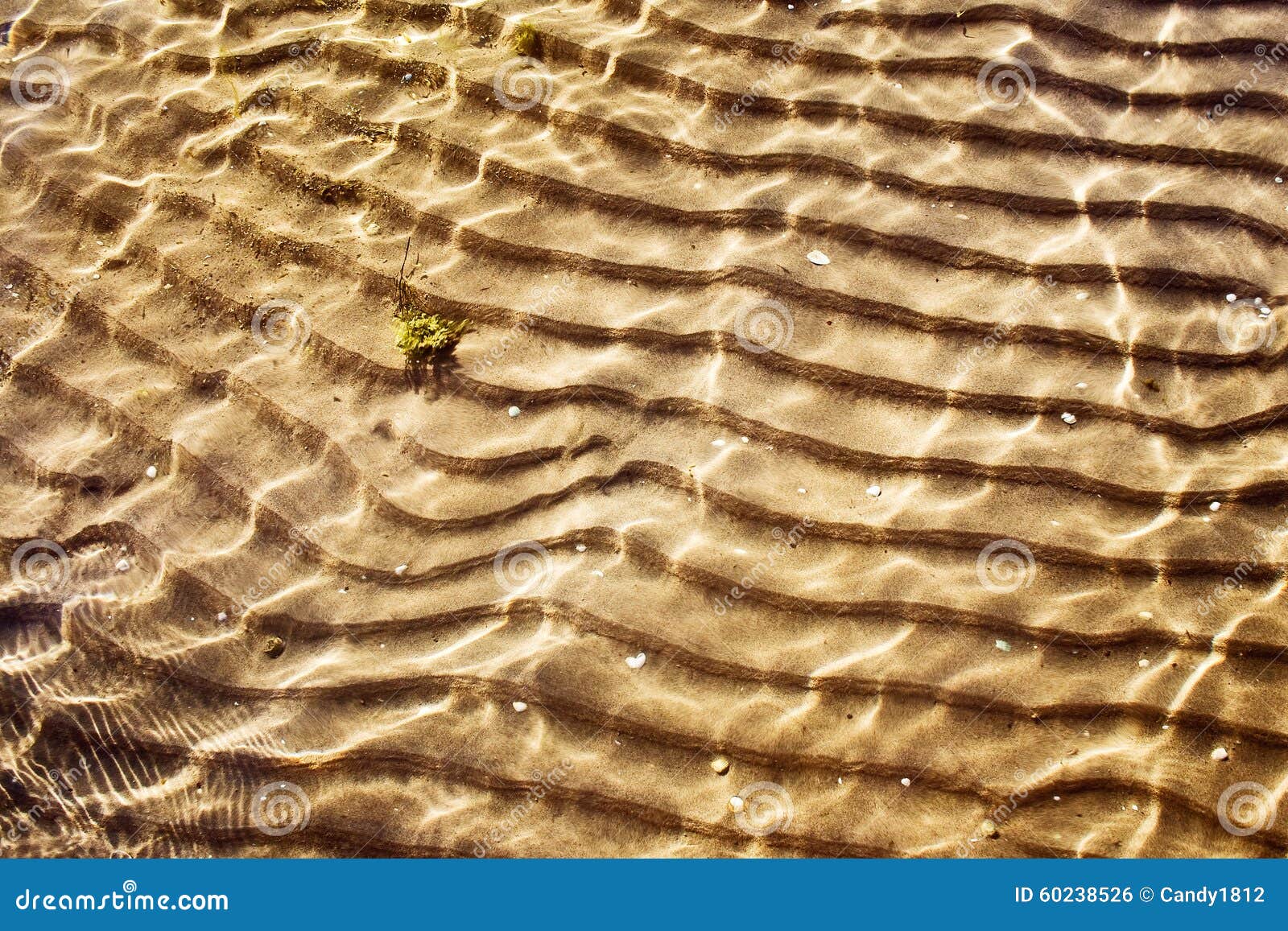 Текстура дна моря стоковое фото. изображение насчитывающей пульсация - 60238526
