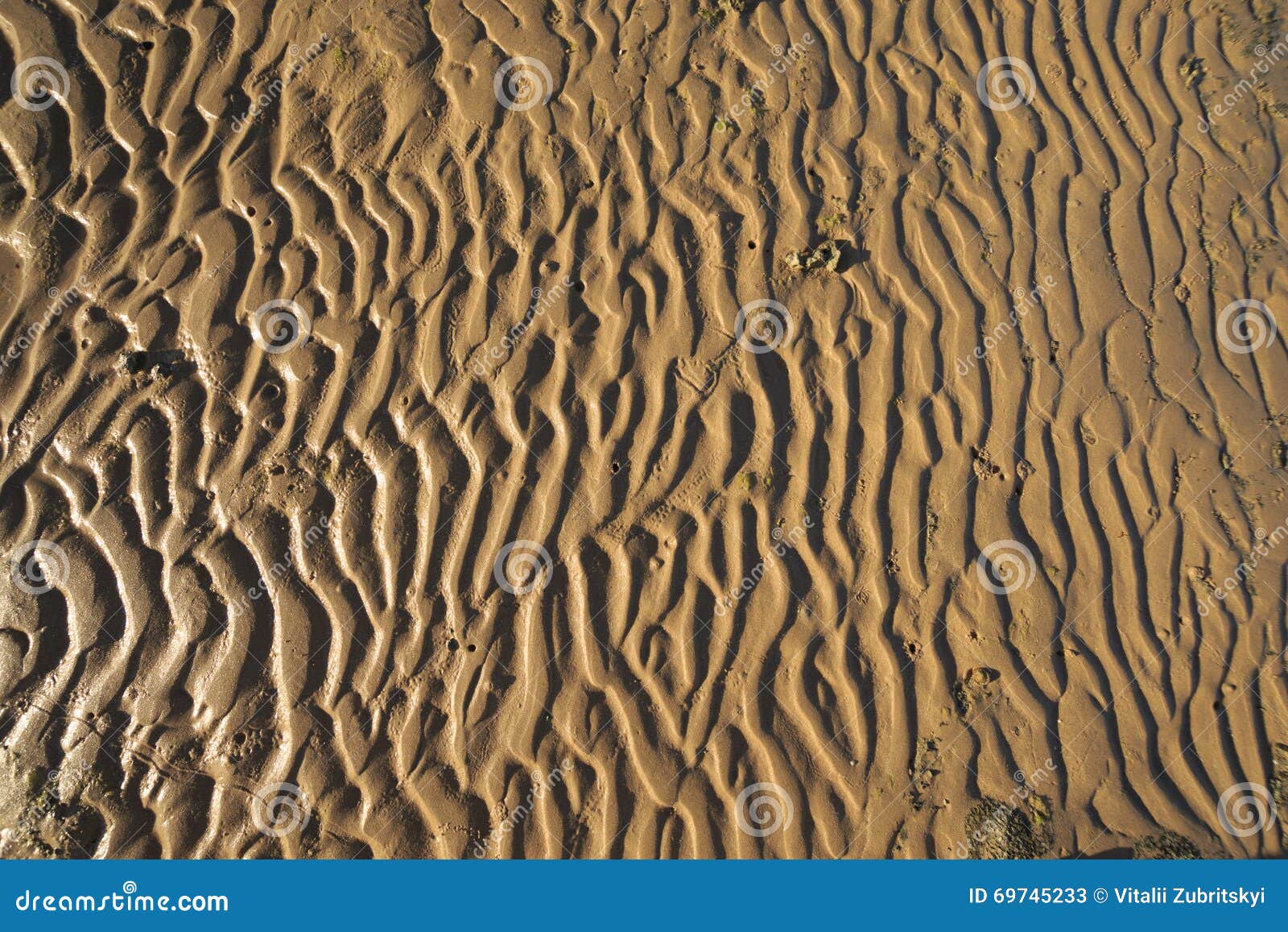 Текстура дна моря стоковое изображение. изображение насчитывающей ландшафт - 69745233