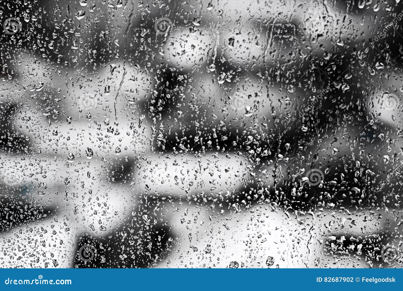 Осенью в дождливый серый день проскакал. Серые будни обои. Дождь а студио батырхан шукенов. Петлюра дождь текст. Серый альбом.