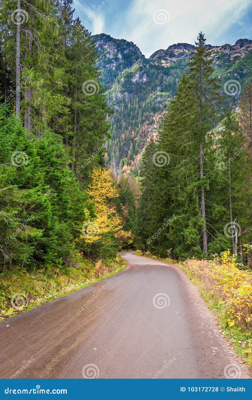 Темная Дорога В Горах В Осени, Польше Tatras Стоковое Фото.