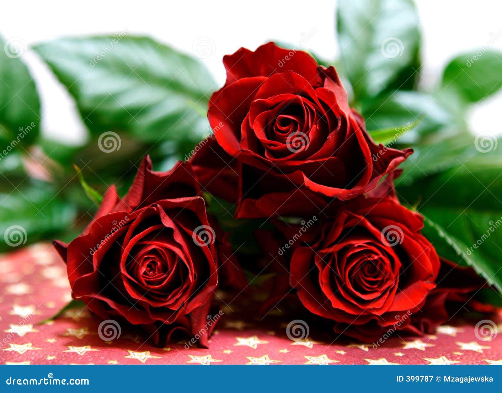 Половые розочки. Красные розы букет лежит на кровати. Dark Red Rose.