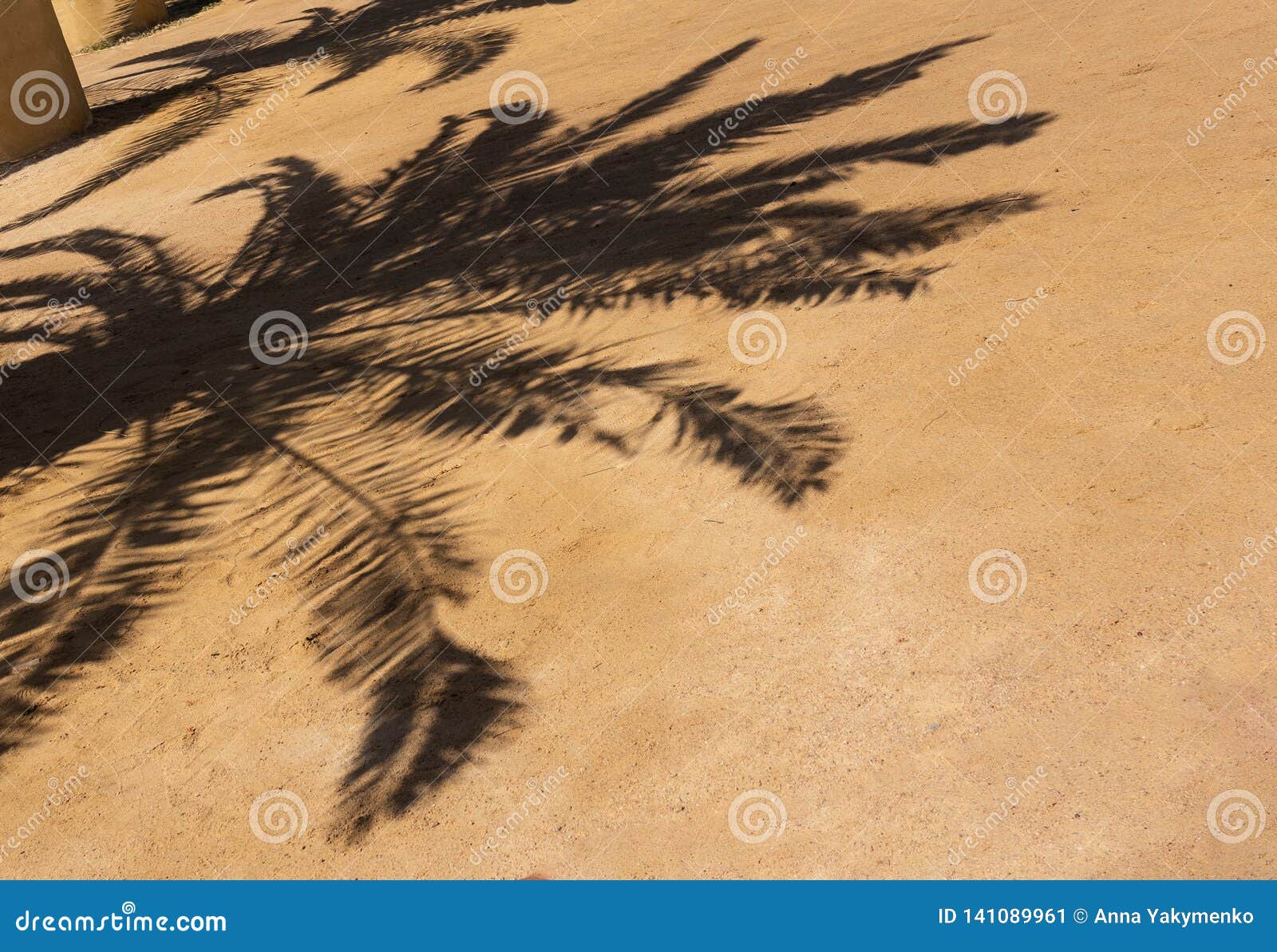 Тени от пальм текст. Тень от пальмы. Тень от пальмы на песке. Тень от пальмы на пляже. Лист пальмы на песке тень.
