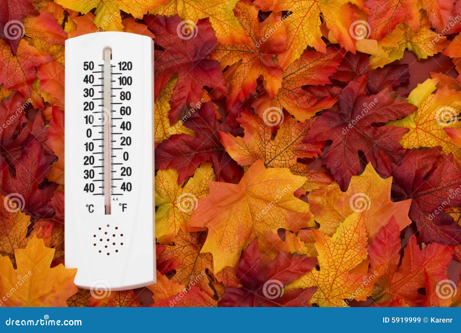 Осенняя температура воздуха. Термометр осень. Термометр осенью. Осень градусник. Температура осенью.