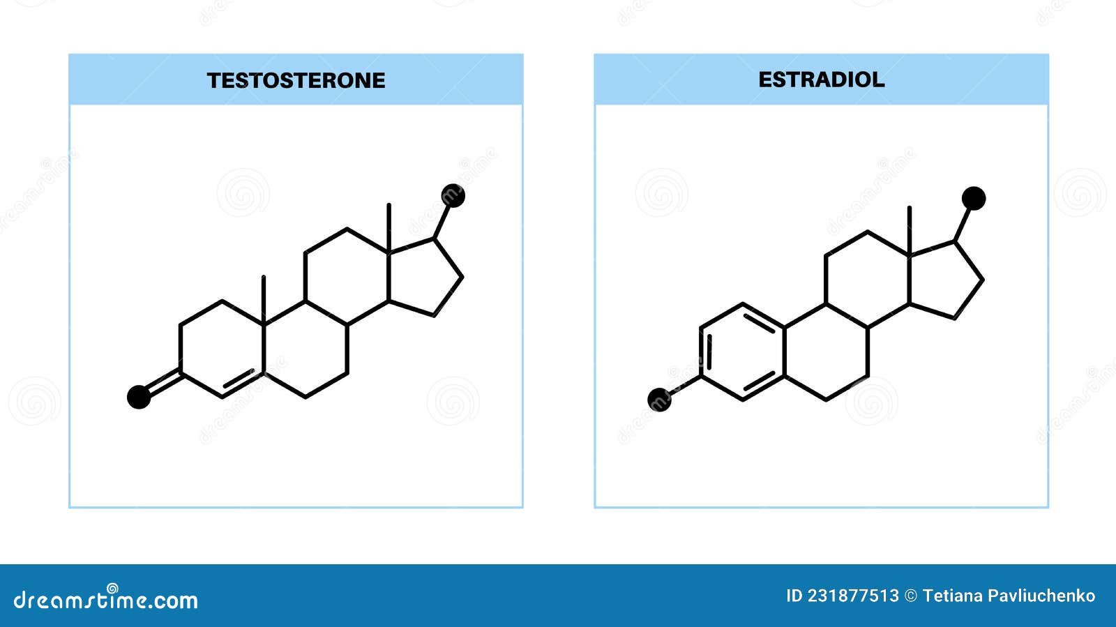 Эстрадиол это эстроген. Тестостерон иконка. Гормоны вектор. Пиктограммы тестостерона и эстрогена. Тестостерон формула химическая.