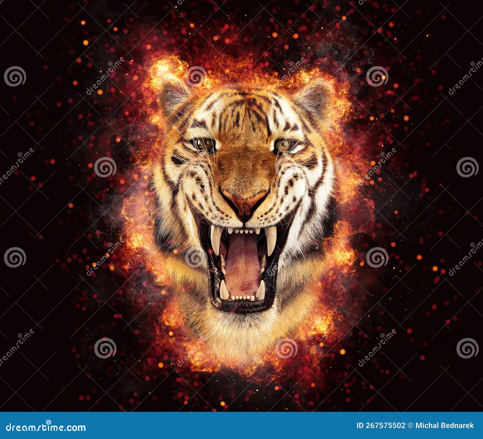 тигр горит. энергия или гнев Иллюстрация штока - иллюстрации насчитывающей  рык, развилки: 267575502