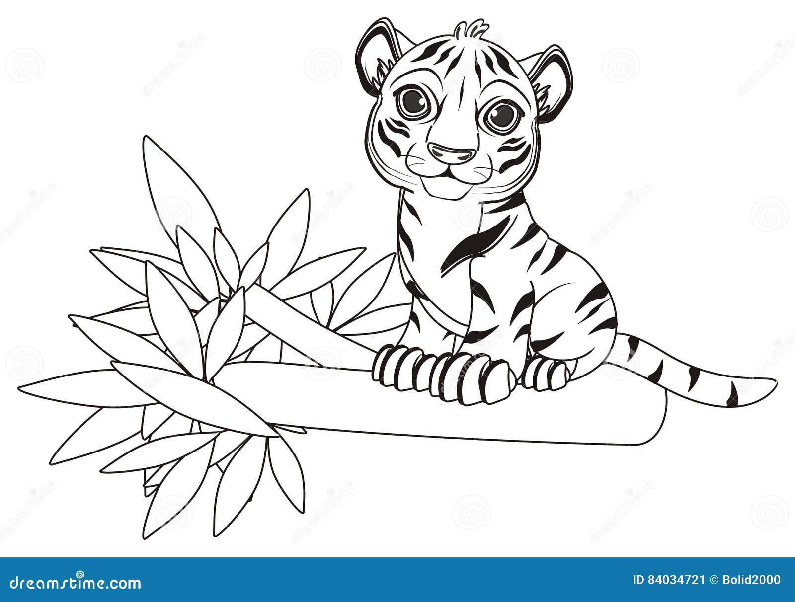 Тигр на ветке ребенок. Раскраска Тигренок. Тигр. Раскраска. Тигр раскраска для детей. Тигренок раскраска для детей.