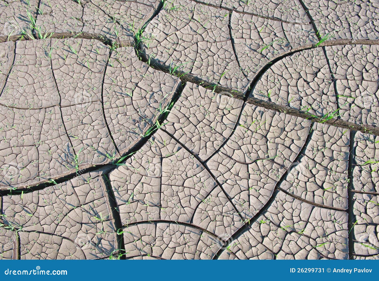 Треснутая текстура земли с травой Стоковое Изображение - изображение  насчитывающей никто, поле: 26299731