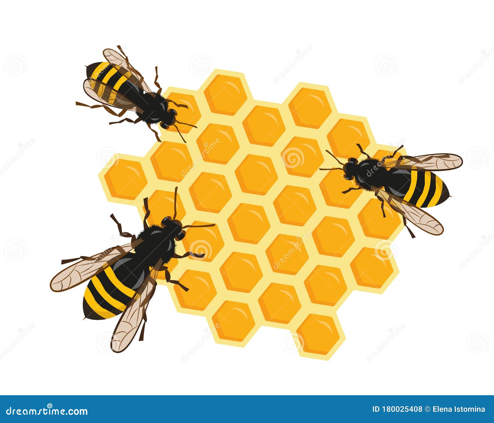 3 пчелы 3 дома. Пчела на сотах. Три пчелы. Пчелиный рамка иконка. Пазл пчелы черно-белый.