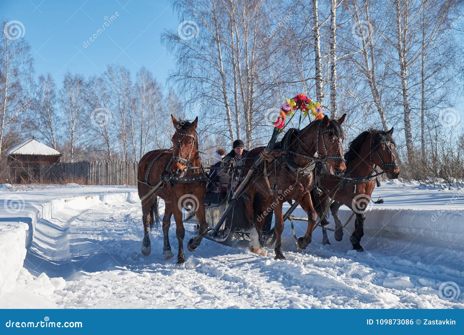 Тройка Зимой Фото