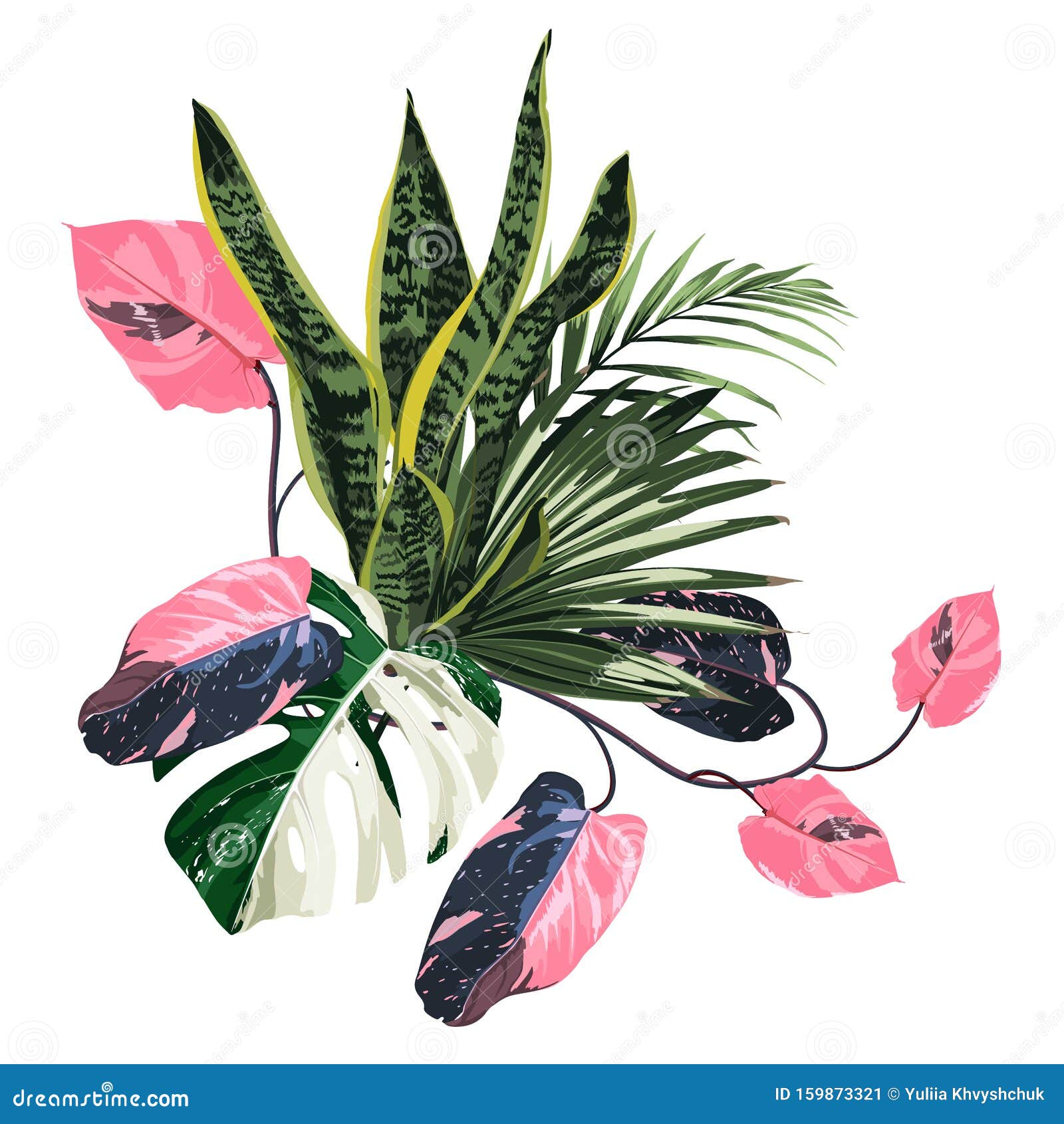 Тропиковая пальма, розовые лианы ветви и экзотические листья, состав  Сансеверии на белом фоне Иллюстрация штока - иллюстрации насчитывающей  карточка, листво: 159873321