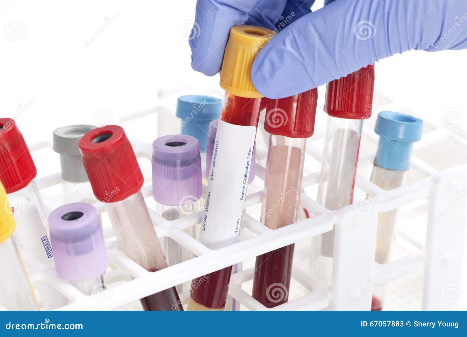Sample collections. Пробирки для гематологии. Пробирка для крови из пальца. Пробирка для исследования крови на глюкозу. (Holder) лаборатория.