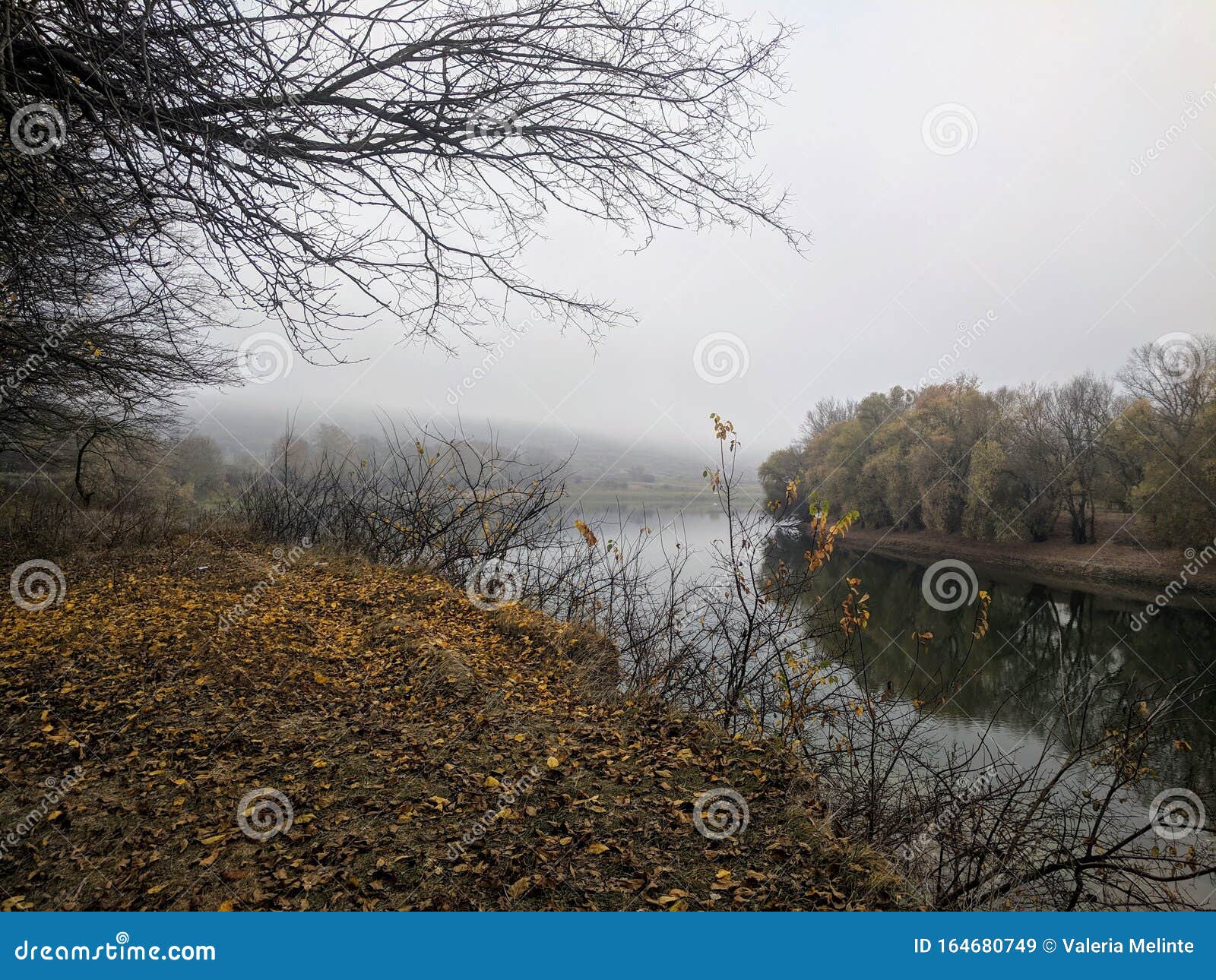 Осень На Берегу Реки Фото