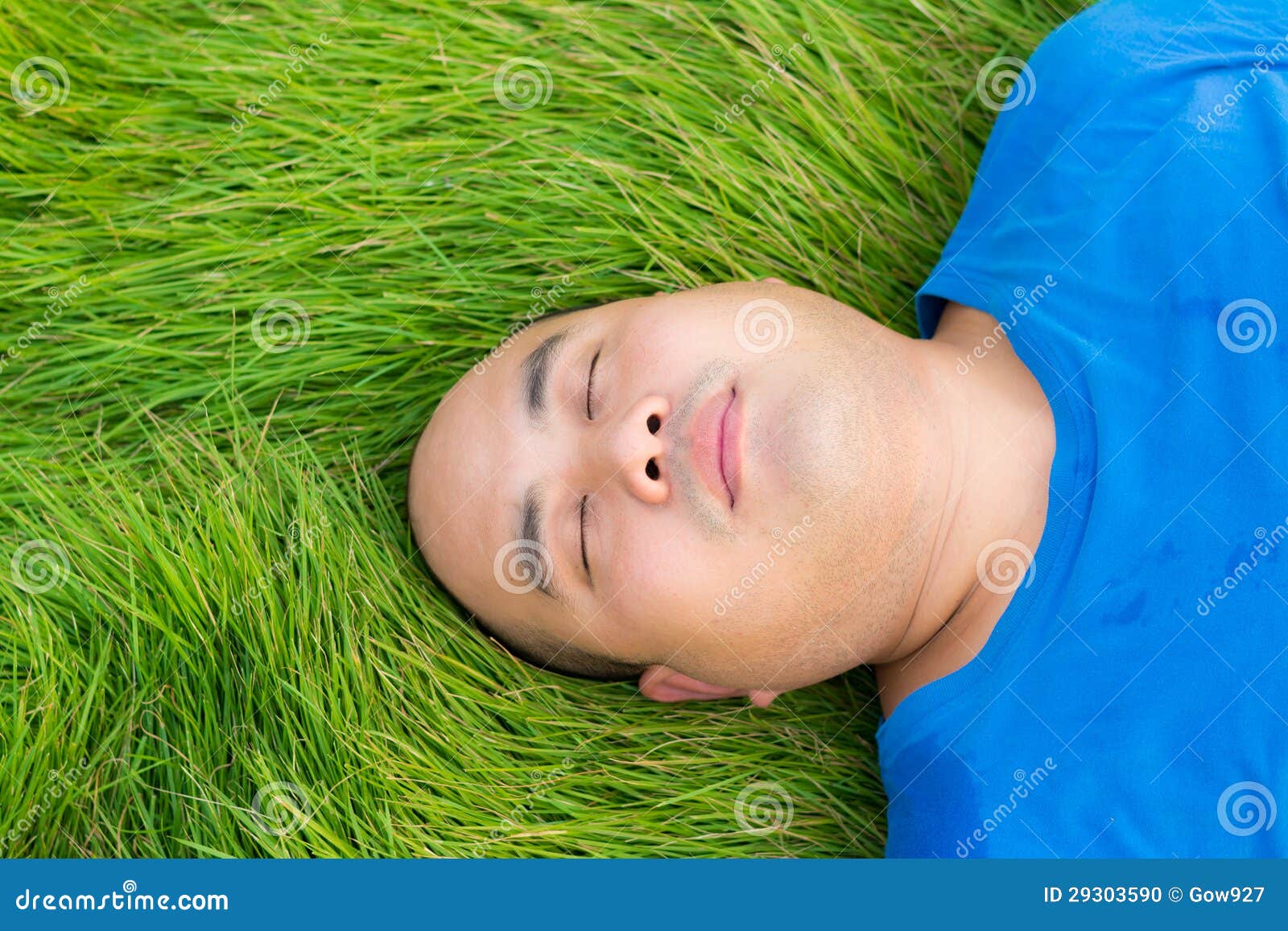 Поле с высокой травой. Травяной человек. Лежит на траве. Человек на траве. Человек на траве.
