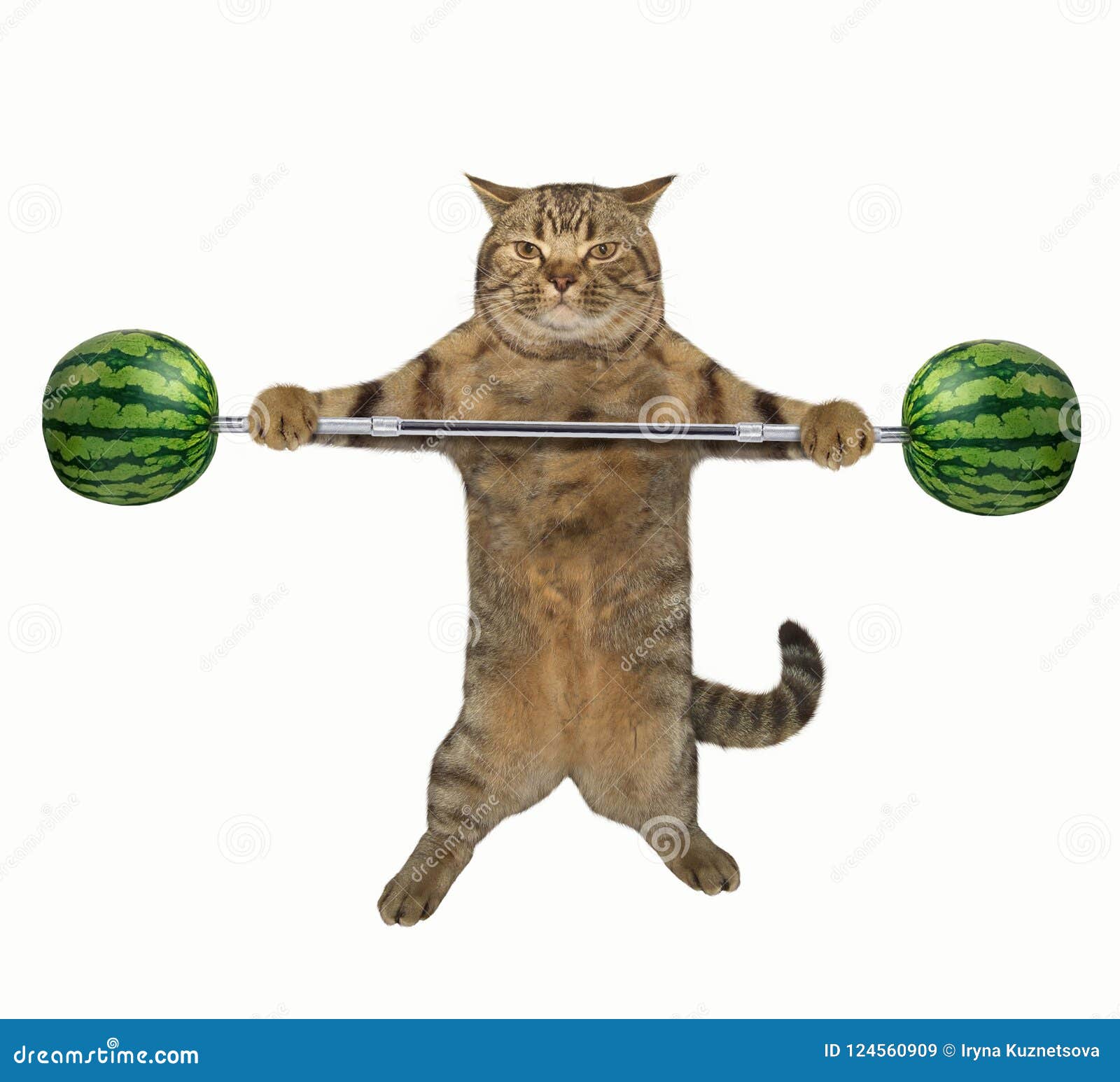 Котик со штангой
