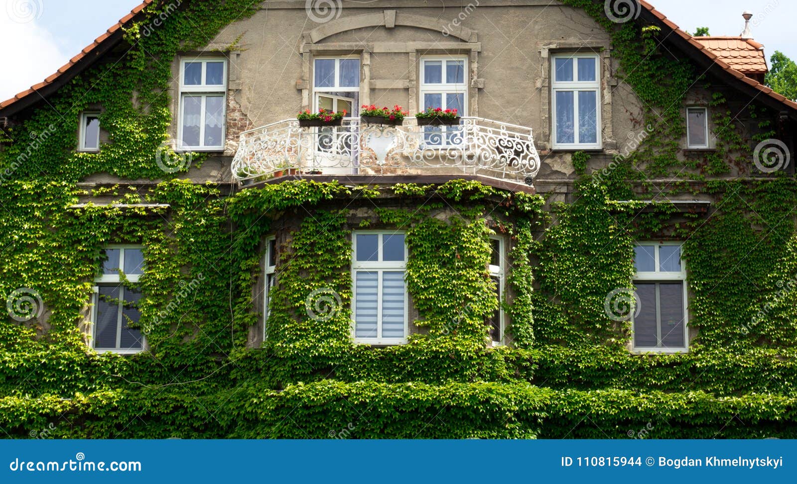 Зеленый Фасад Дома Фото