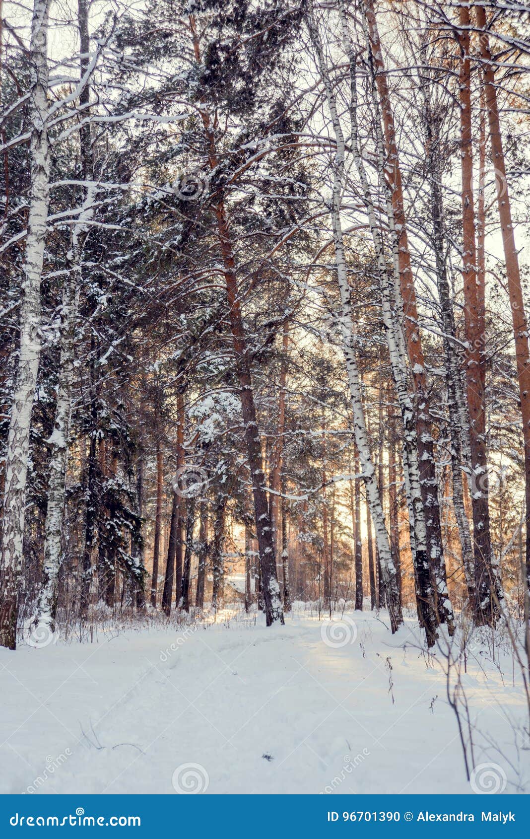 Фото Леса Инстаграм