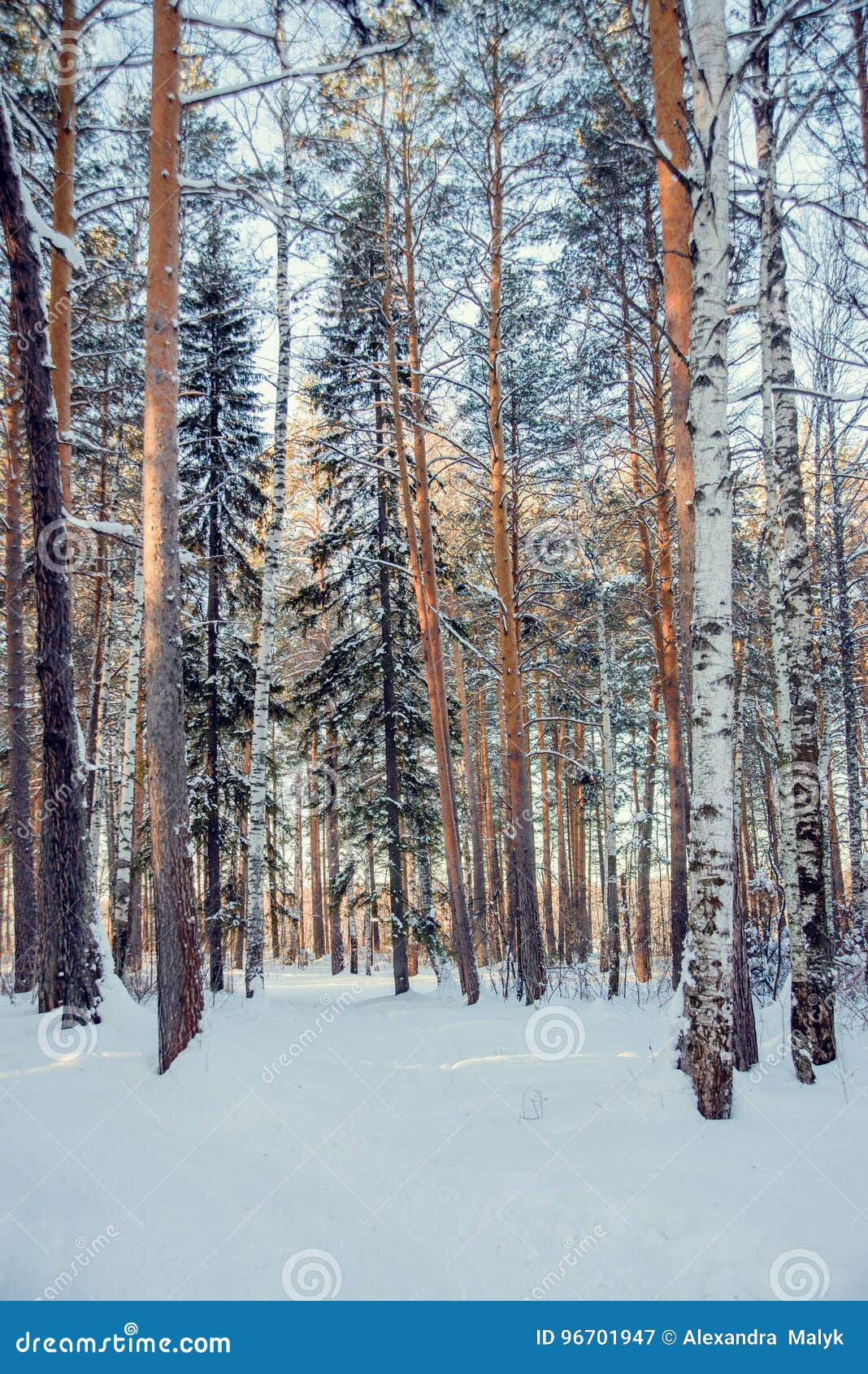 Фото Леса Инстаграм