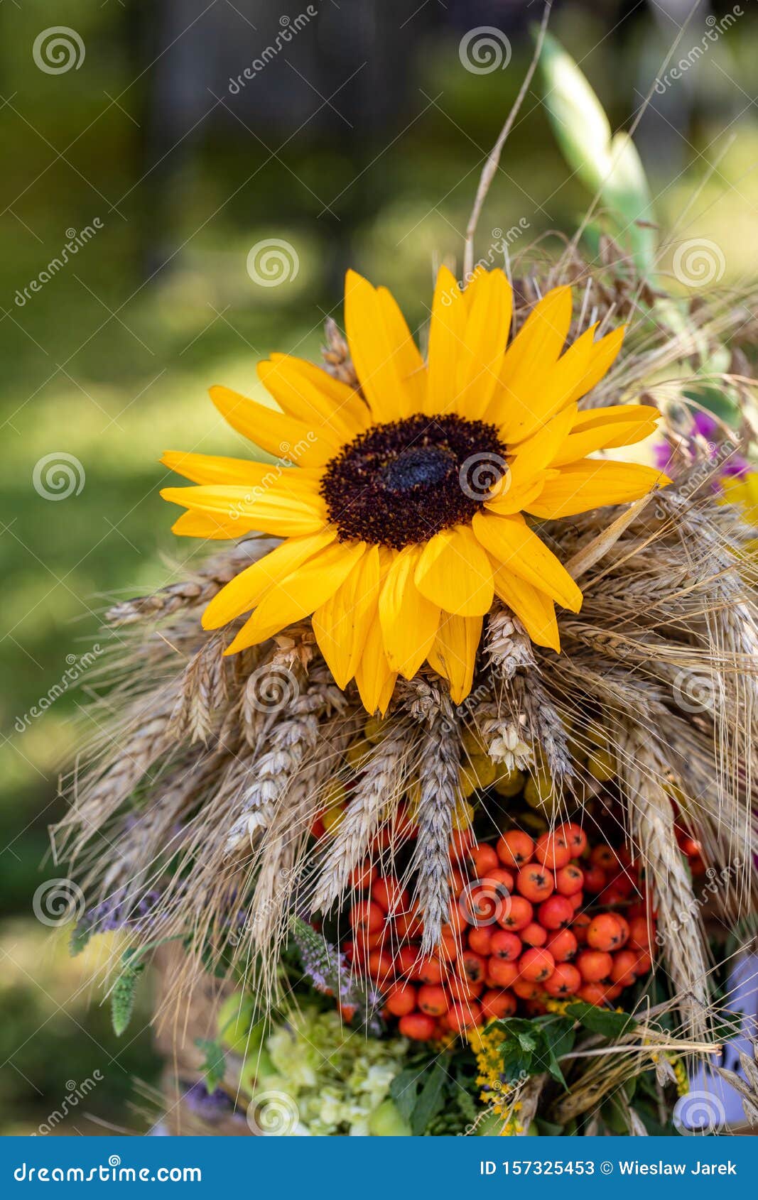 Флористический букет цветов, трав и фруктов, являющихся символом летаСтоковое Изображение - изображение насчитывающей природа, гладиолус:157325453