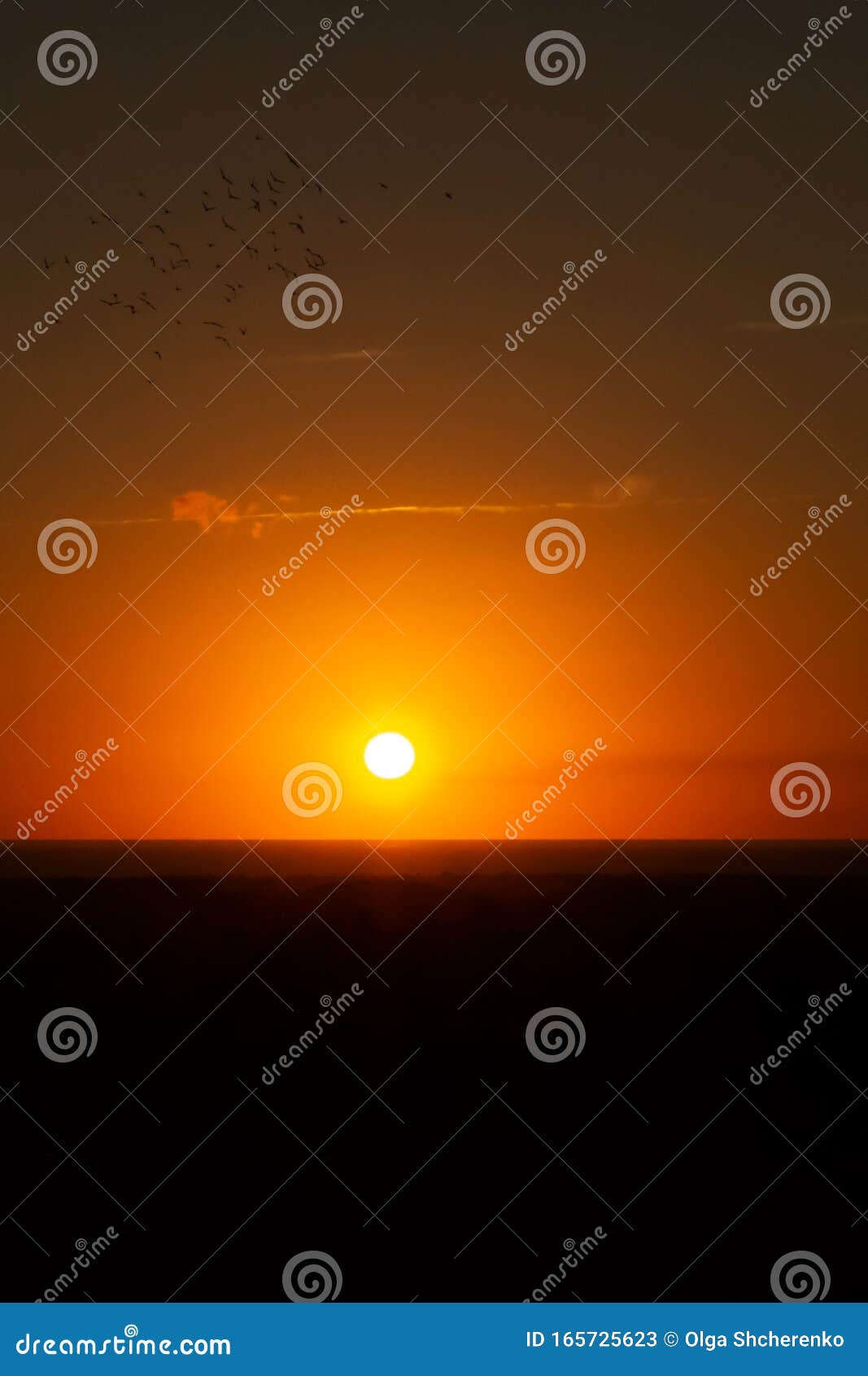Фоновый фон Закат солнца на горизонте Вертикальная ориентация Стоковое Изображение - изображение насчитывающей напольно, природа: 165725623