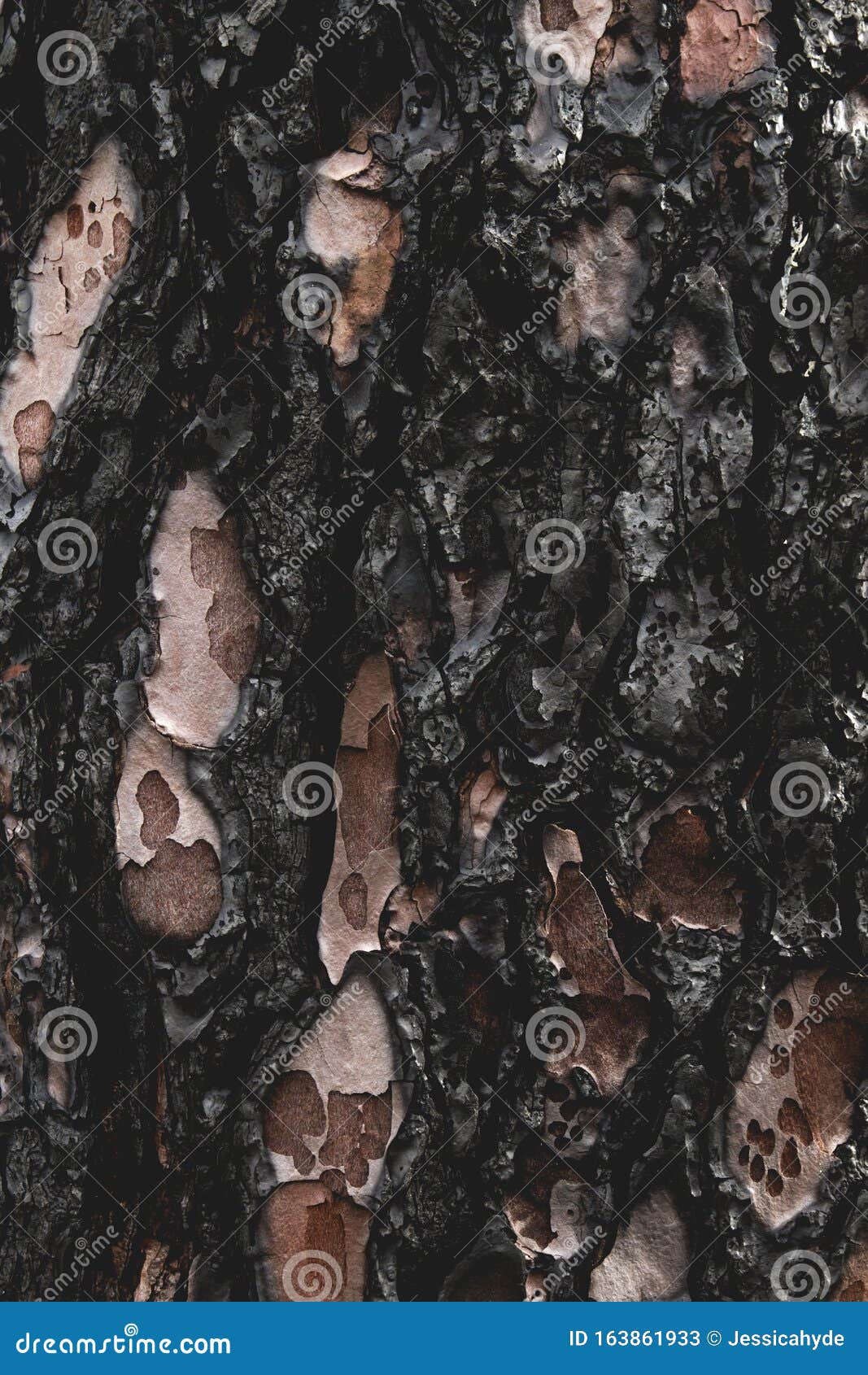 Фон или текстура сгоревшего дерева Стоковое Изображение - изображение  насчитывающей деталь, катастрофа: 163861933