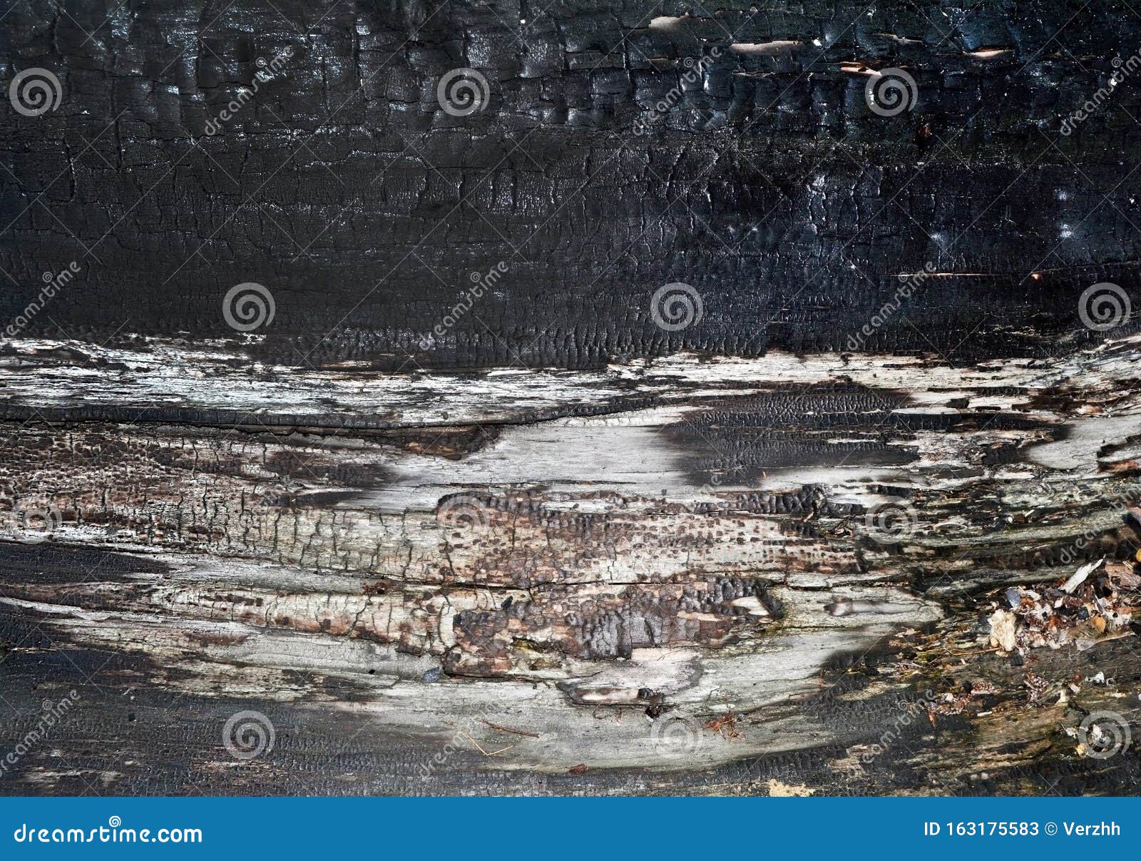 Фон с текстурой обгоревшего дерева Черное обугленное дерево Стоковое  Изображение - изображение насчитывающей отказ, швырок: 163175583