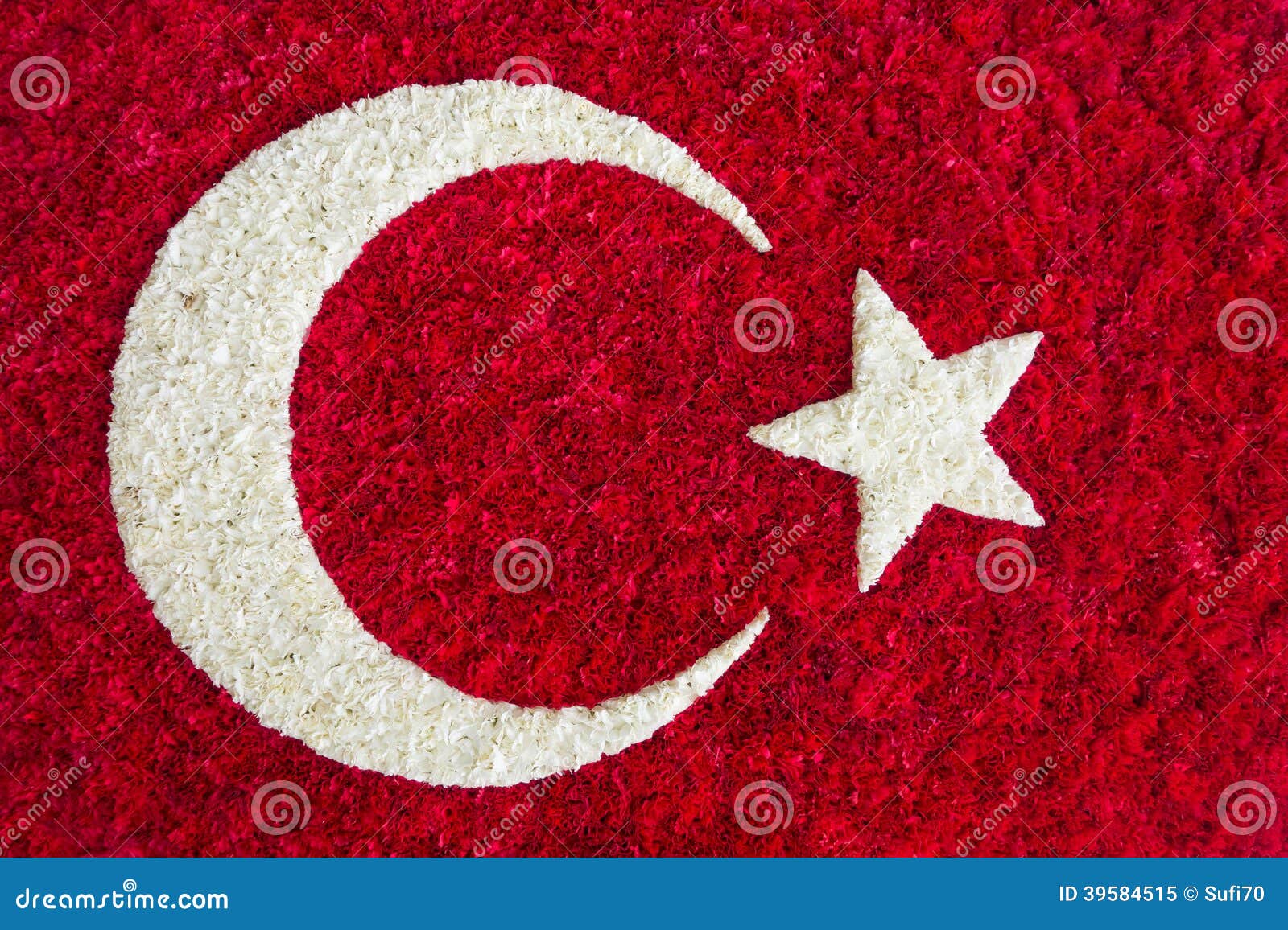 Сколько звезд на флаге турции. Турецкие флаги цветы. Белый флаг Турции. Турецкий флаг из цветов. Флаг Османской Федерации.