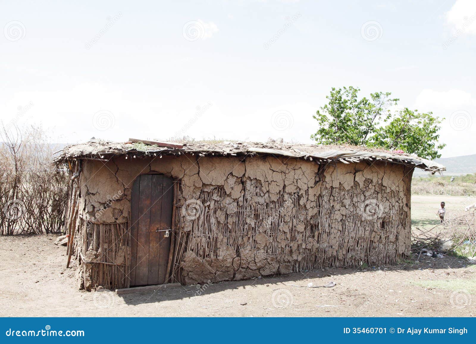 Дом из коровьих лепешек где строят