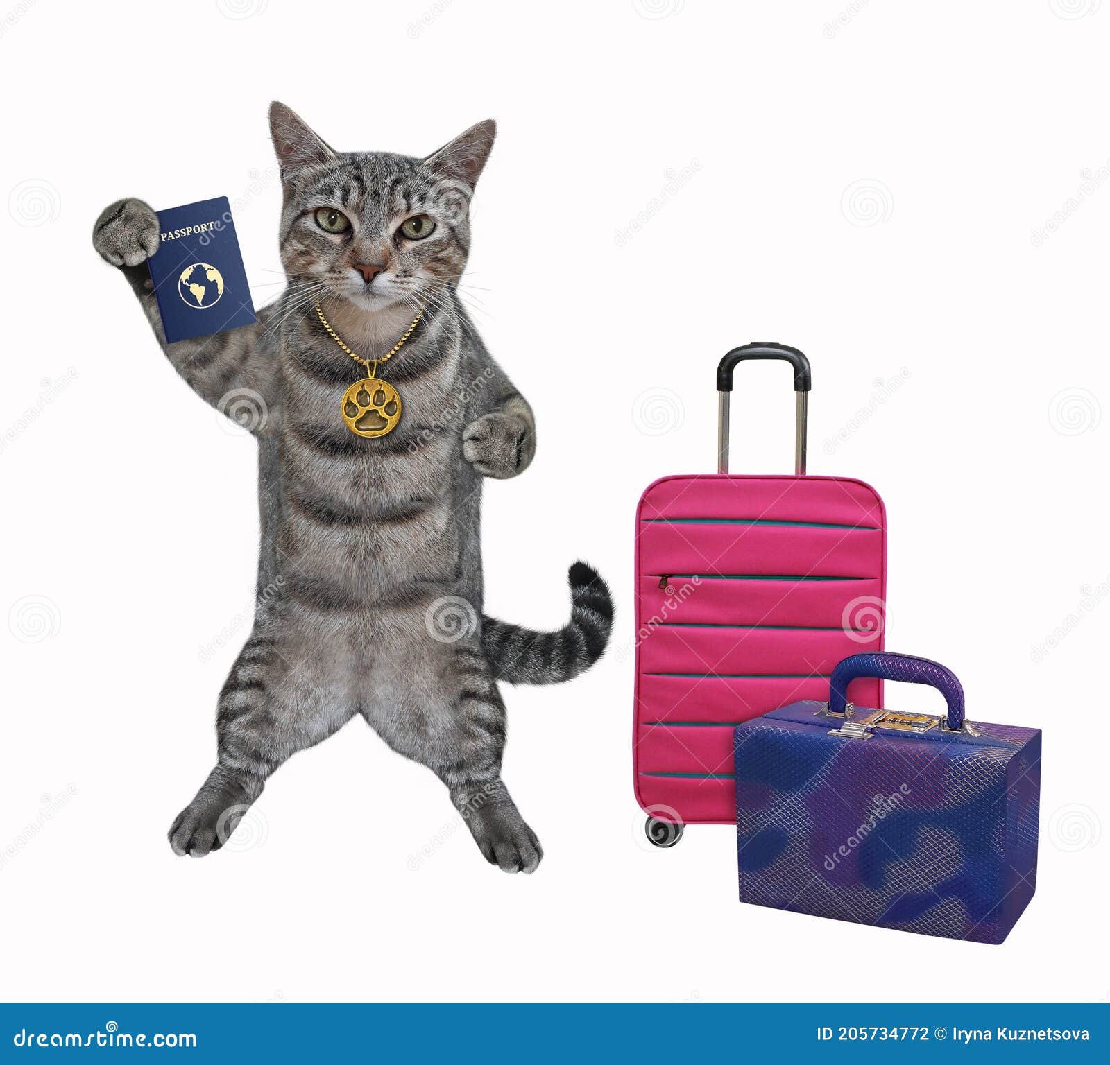 Кот с чемоданом картинки