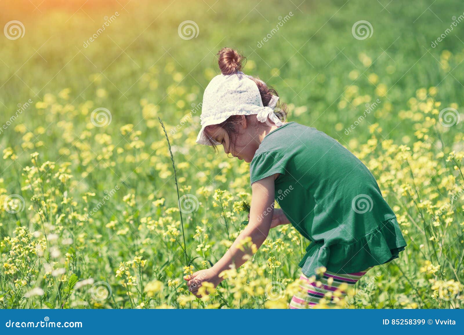 Are you picking flowers at the moment. Девушка собирает хлопок фото. Девушка собирает цветы на лугу картинки кистью. Стих про девочку собирающая на лугу цветы. The girl is picking Flowers..