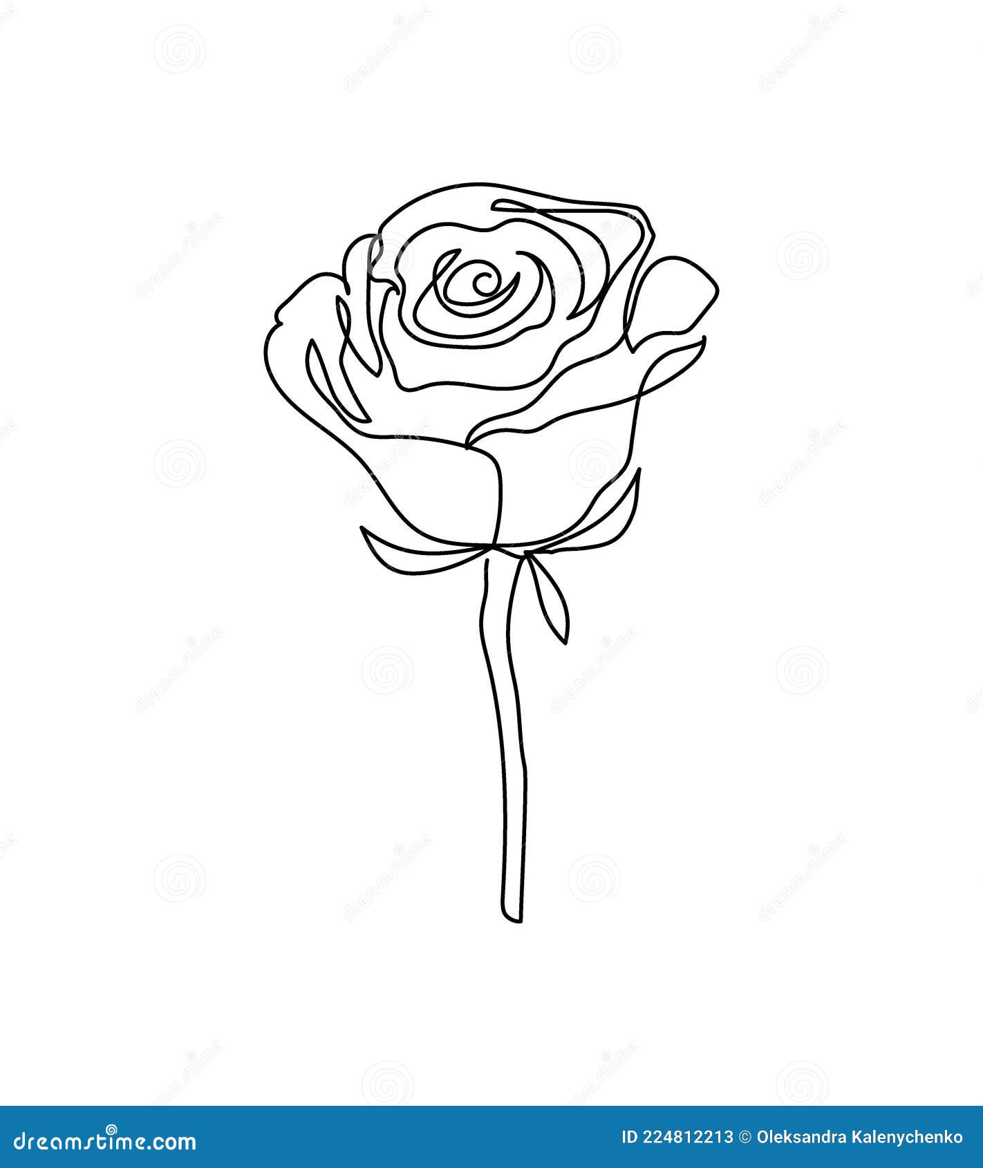 цветок розы. сплошной линейный рисунок растений цветение травы природа цветы  сад. Иллюстрация вектора - иллюстрации насчитывающей декоративно, подарок:  224812213