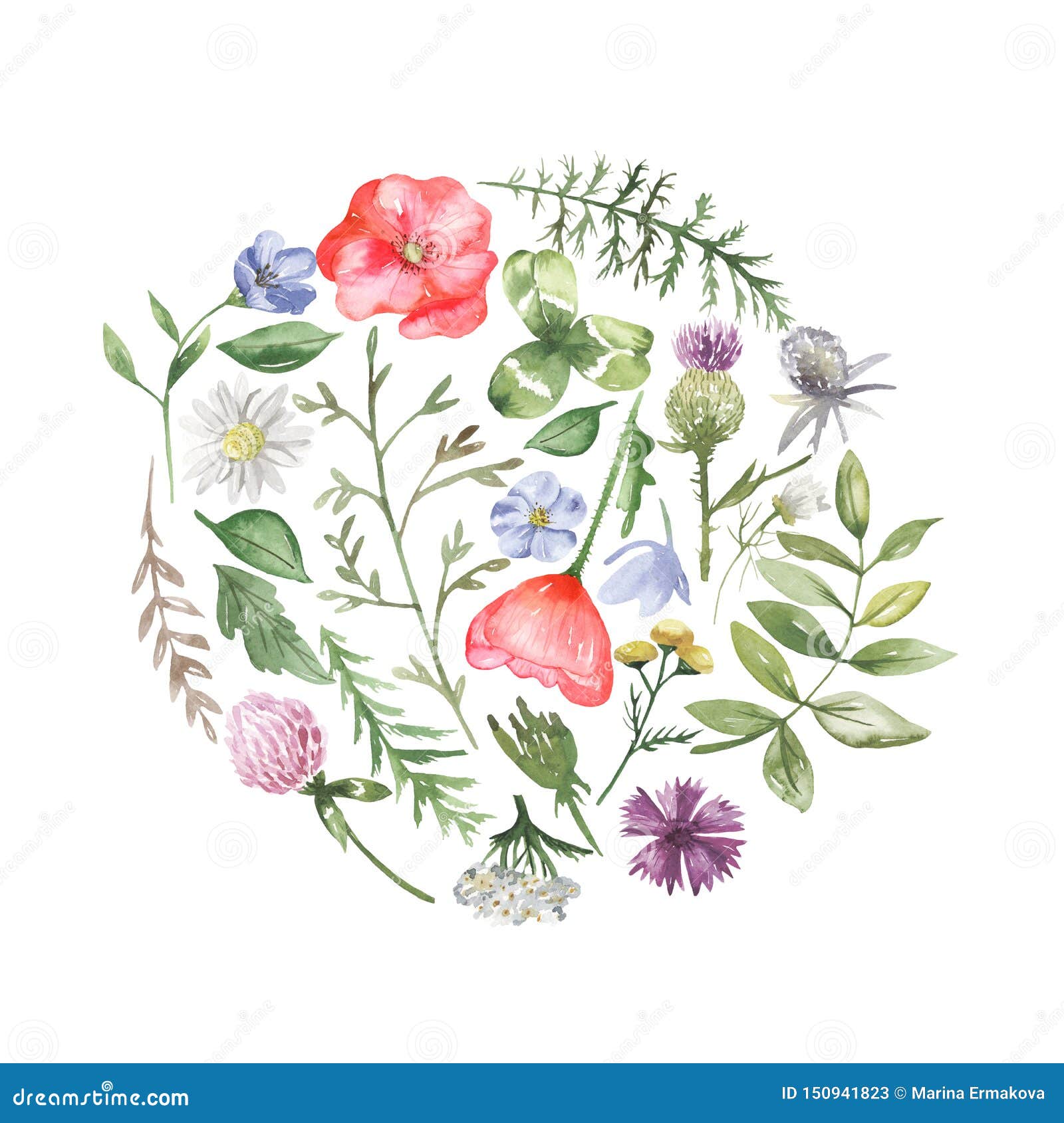 Цветочная композиция в форме круга и сердце Wildflowers Иллюстрация штока -иллюстрации насчитывающей возглавлено, ботаническую: 150941823
