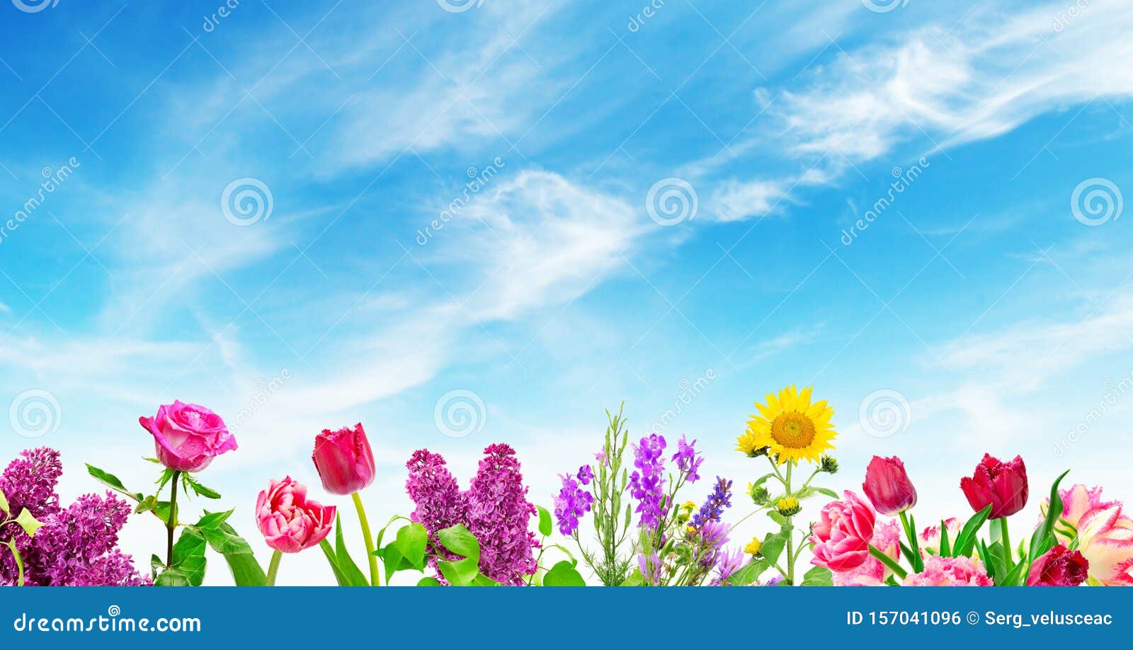 Цветы на фоне голубого неба Стоковое Фото - изображение насчитывающей  сортировано, флористическо: 157041096