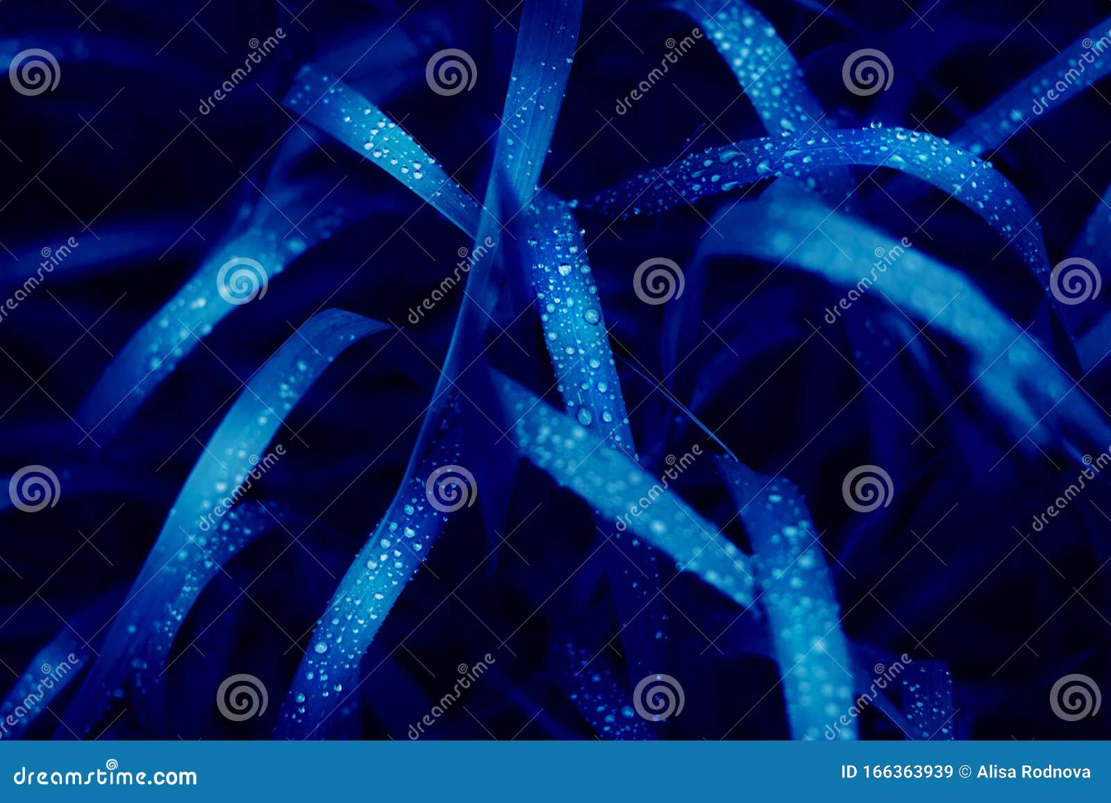 Цвет фона Classic 2020 года голубой свежей травы Стоковое Изображение -изображение насчитывающей красивейшее, свежесть: 166363939