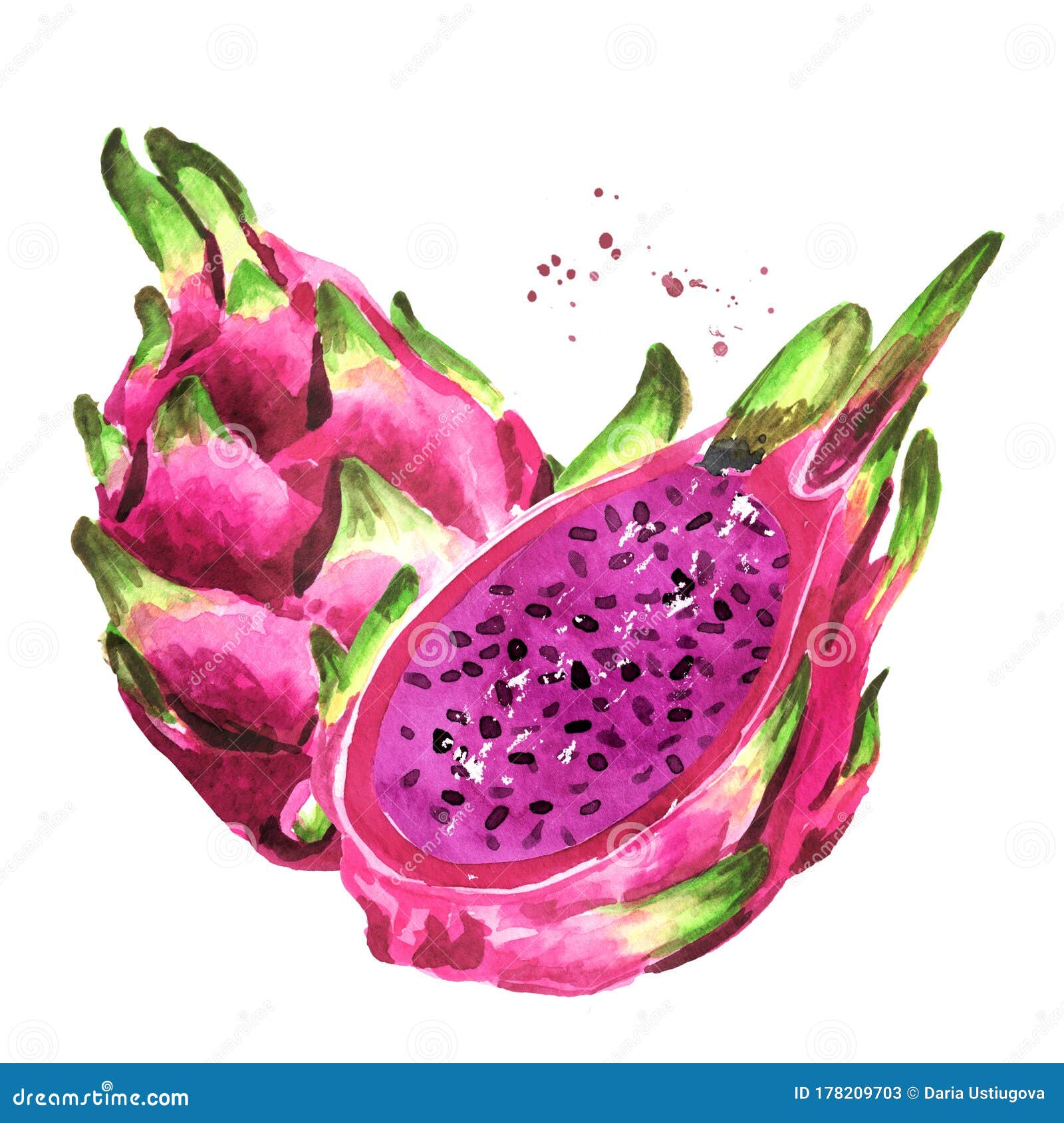 Питахайя рисунок