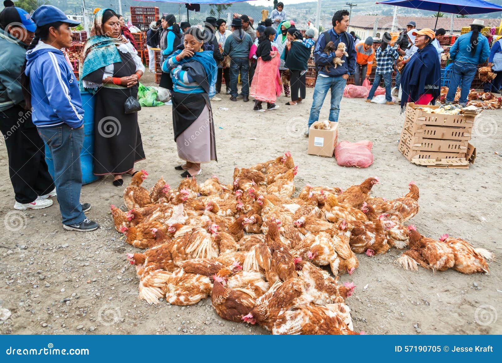 Цыплята на рынке
