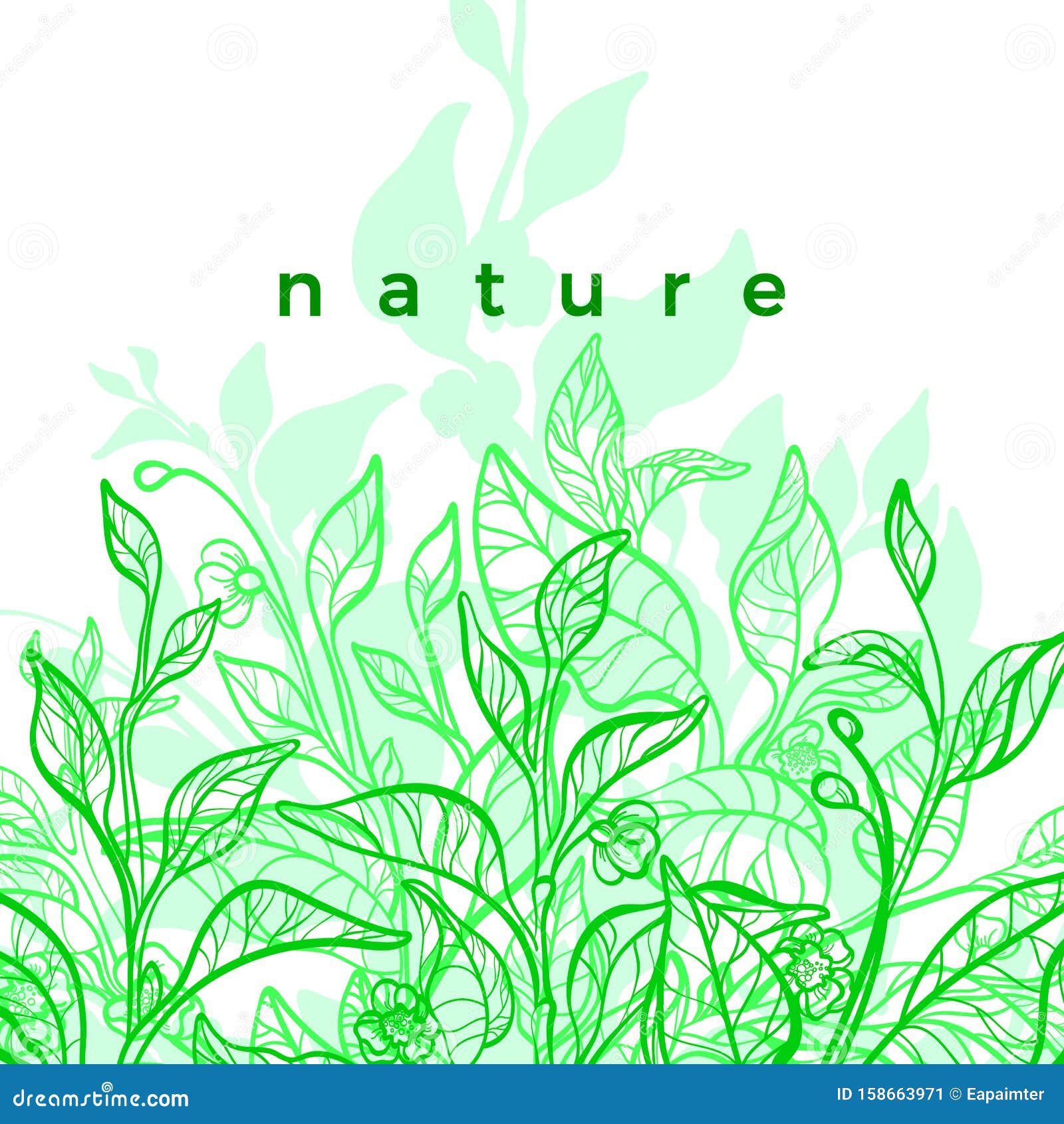 Чайный лист Новый шаблон вектора Зеленая плантация Иллюстрация вектора -  иллюстрации насчитывающей декор, травяной: 158663971